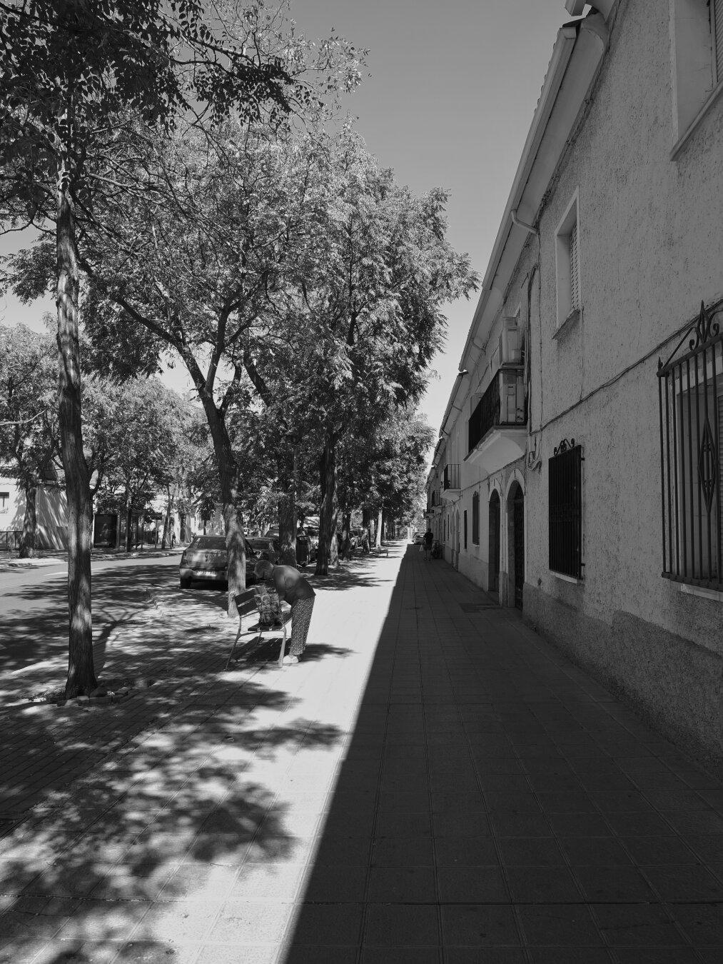 Black-and-white street scene with a woman leaning over a bench near the boundary between bright sunlight and deep shade. Trees line the pavement, casting patterned shadows across the walkway, while residential buildings extend into the distance.
