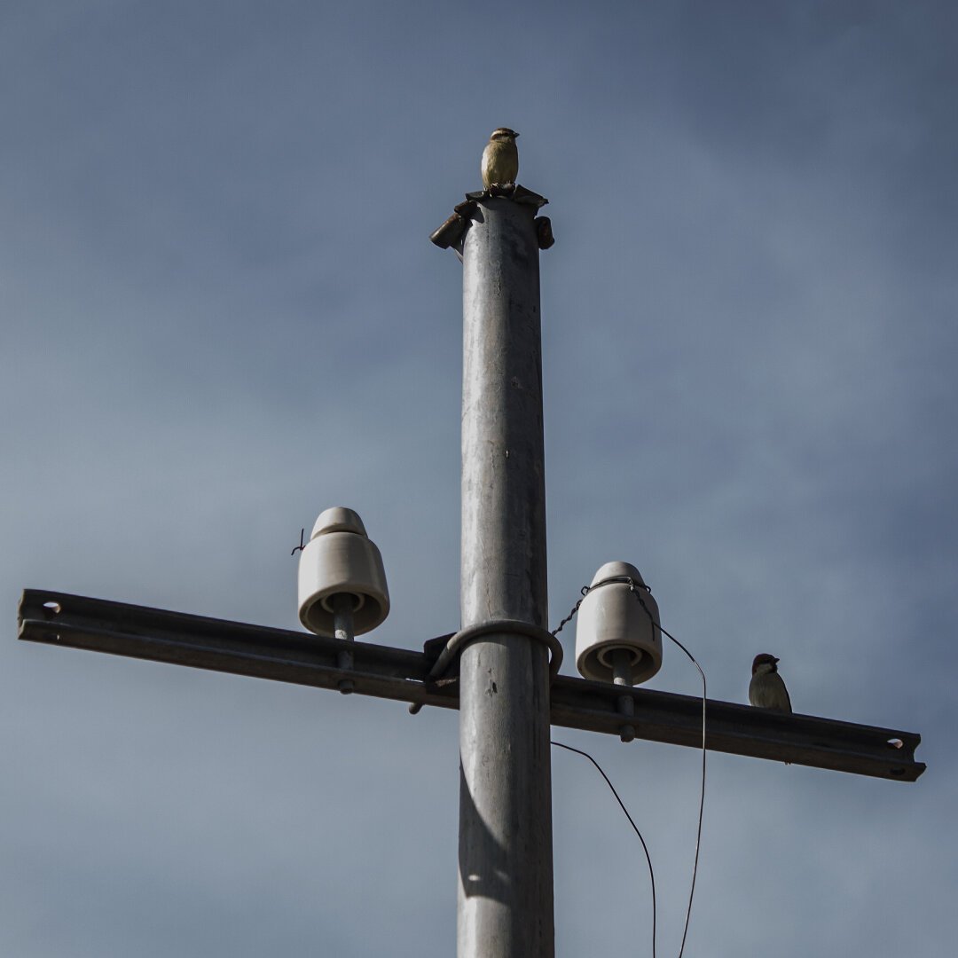 A telegraph pole in the shape of a cross against a blue, wispy clouded sky. Across the horizontal ledge of the cross on the pole, there are ceramic insulators in the shape of a bell on either side of the pole. To the right of the image and to the right of one of the insulators, there is a bird sitting on the horizontal ledge. On the vertical tip of the pole, there is a bird sitting which visually looks similar to the ceramic insulators in symmetry.