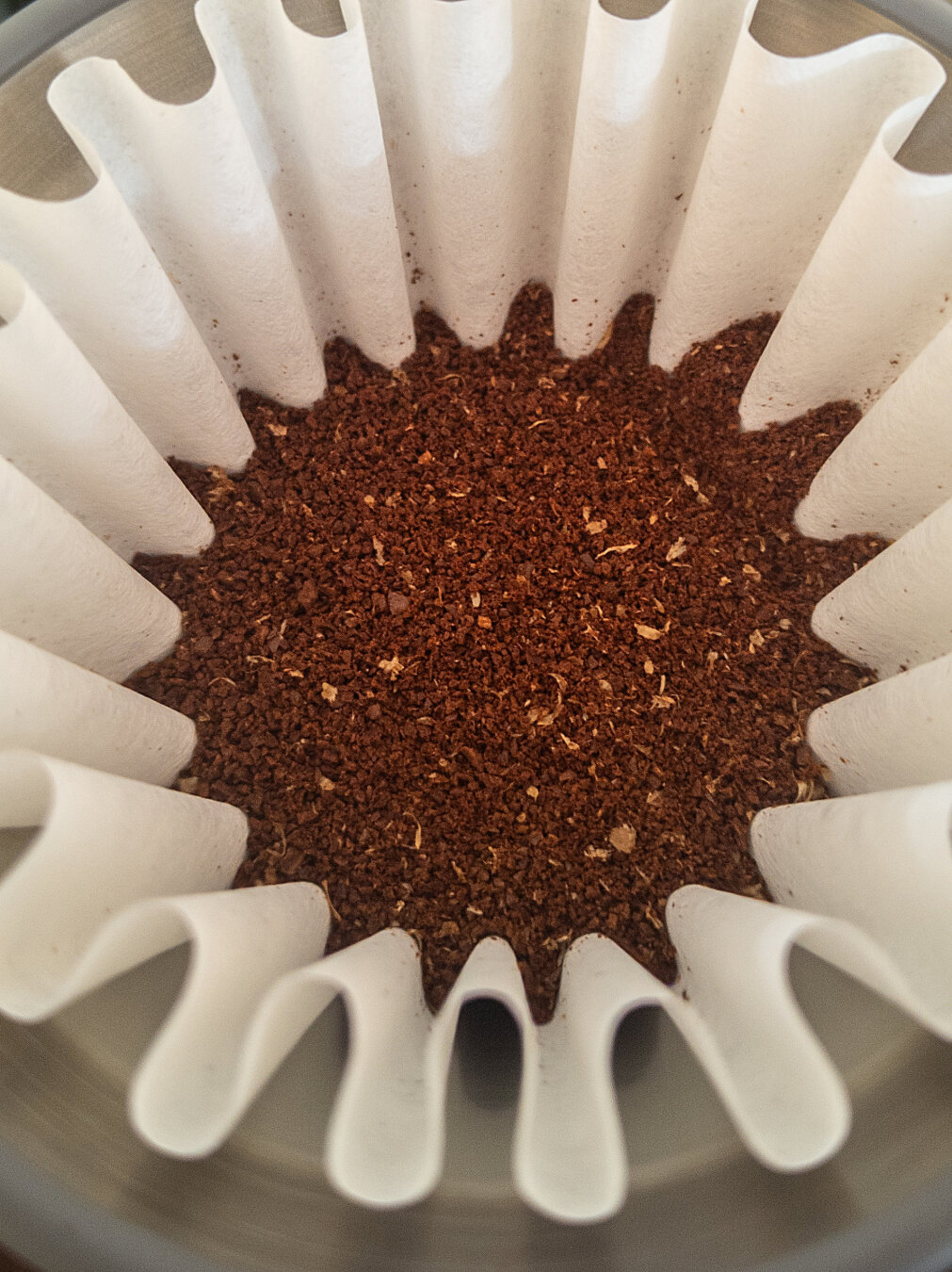 Pleated wavy white coffee filter inside an espro bloom pourover containing brown ground coffee beans.
