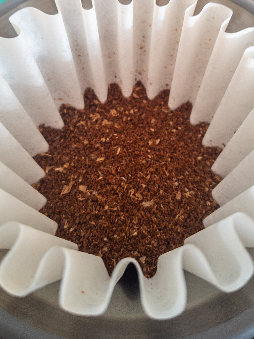 Pleated wavy white coffee filter inside an espro bloom pourover containing brown ground coffee beans.