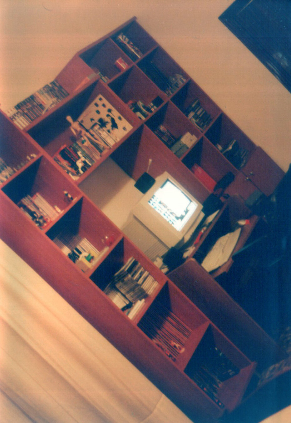Parete attrezzata con un PC al centro, quelli beige di una volta, con monitor CRT. Sui vari ripiani, libri, fumetti, DVD e videocassette.