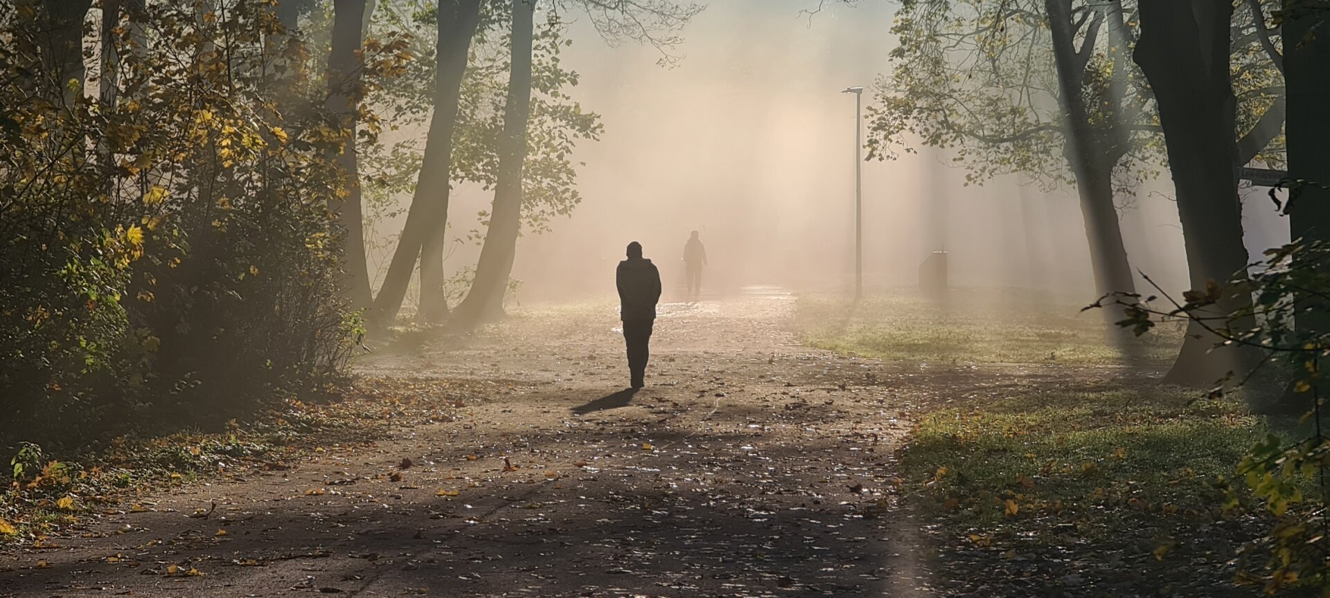 Weg im Park im Nebel, der von der Sonne hell erleuchtet wird. Eine Person im Mittelgrund geht mit hinter dem Rücken verschränkten Armen nach vorne, eine im Hintergrund nach hinten.