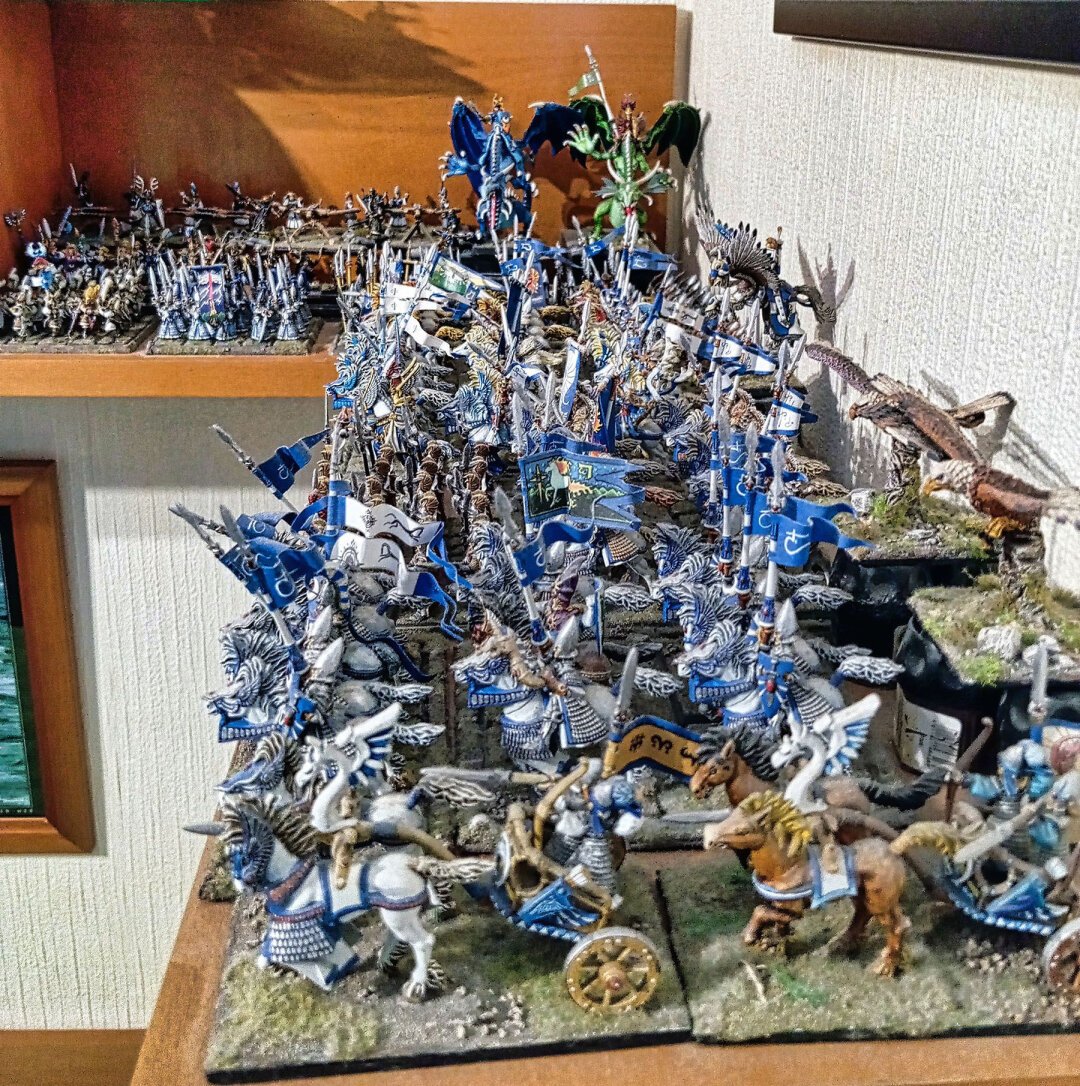 This is one of my few Warhammer armies composed, almost exclusively, of Citadel miniatures.
It is also my first army.