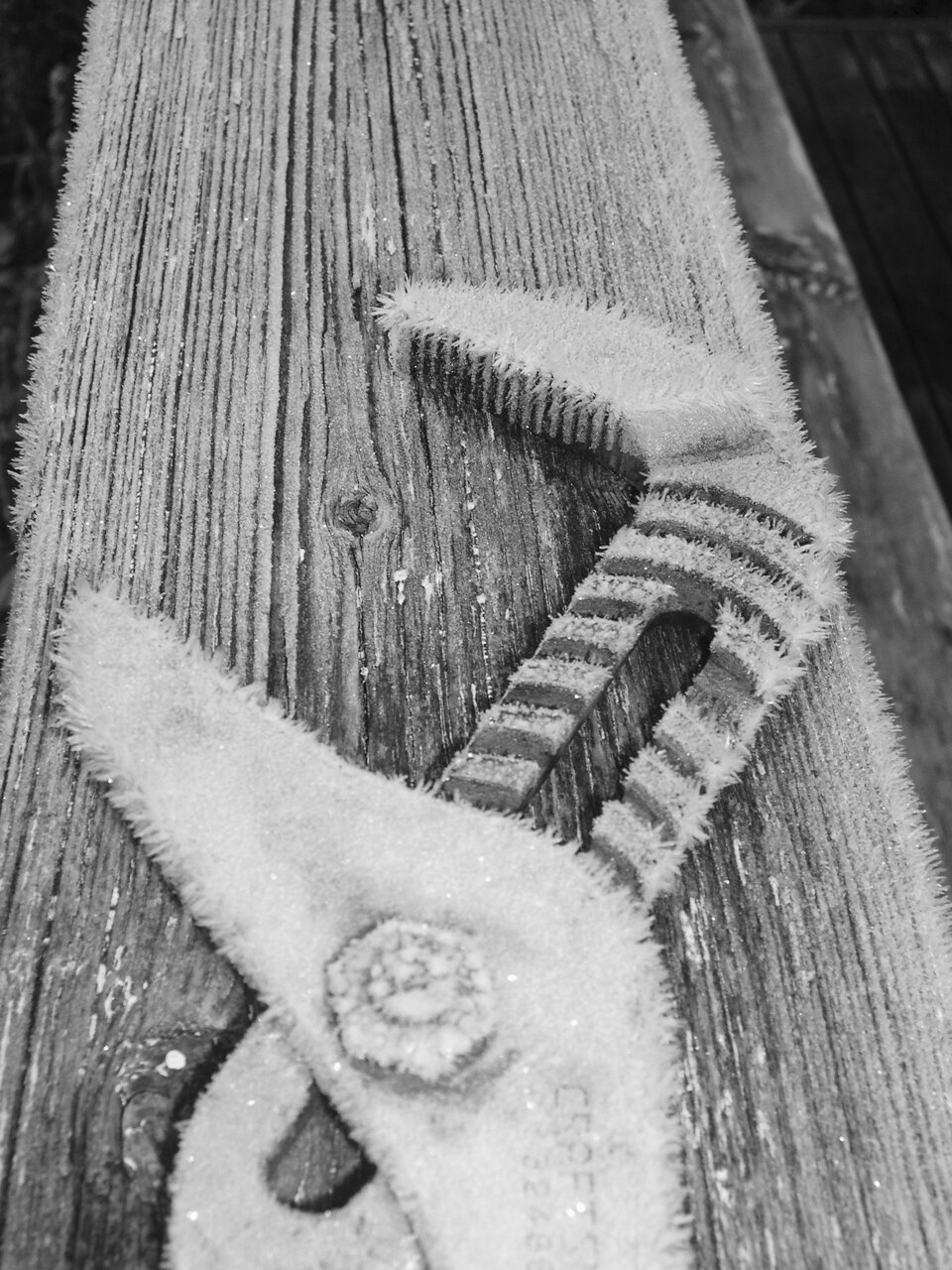 I forgot my slip-joint pliers (Channellock) out on the railing for our deck one very cold day. When i looked in the morning they were covered with a very fuzzy, white coating of frost.