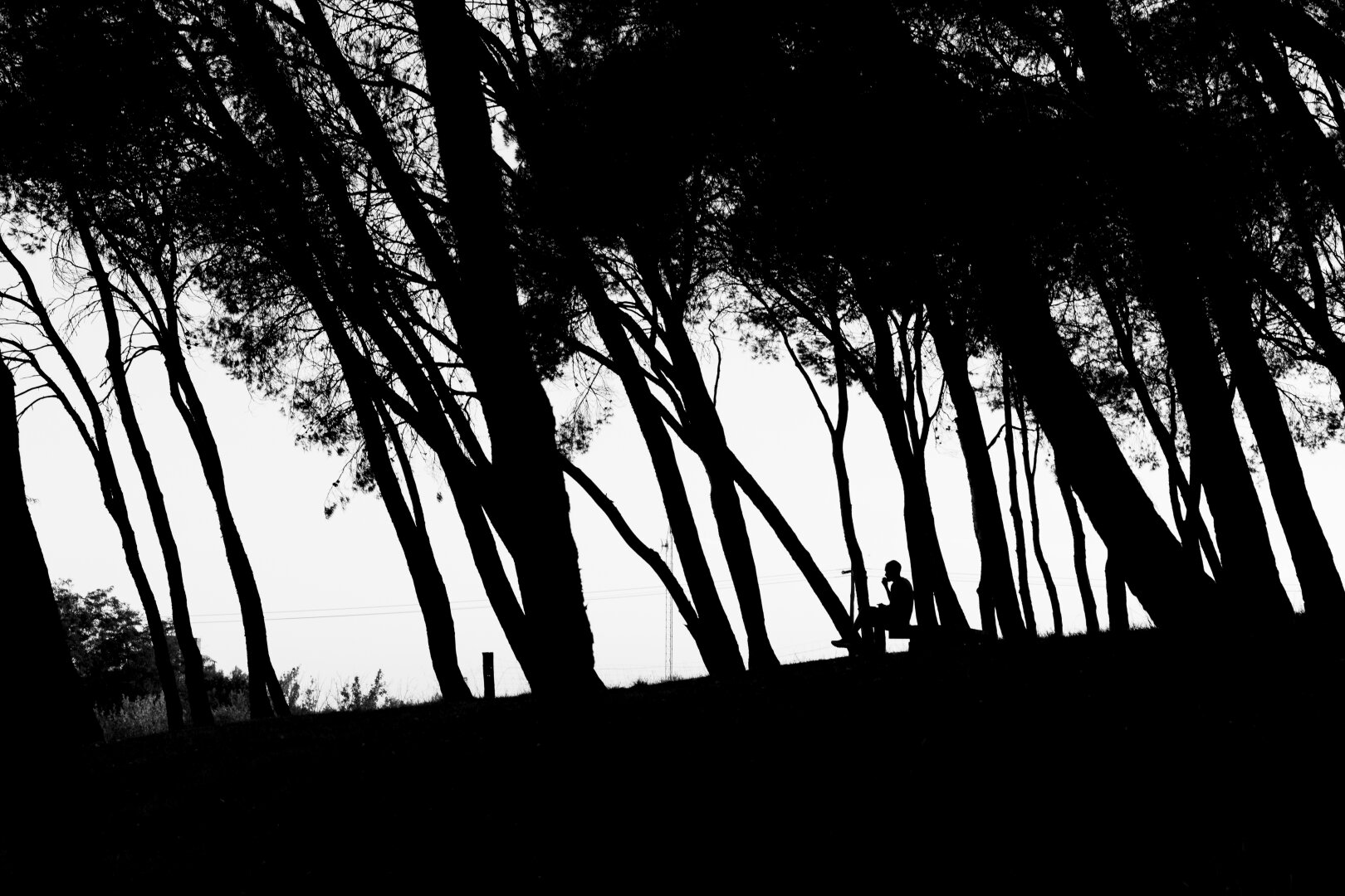 Español: fotografía en blanco y negro a alto contraste. En primer plano, se observa la silueta oscura de varios árboles inclinados en una colina. A la derecha, recortada contra un fondo blanco y luminoso, aparece la silueta de una persona sentada en un banco, en postura reflexiva con la mano cerca del rostro.

English: high-contrast black-and-white photograph. In the foreground, the dark silhouettes of several leaning trees line a hillside. On the right, silhouetted against a bright white sky, a person sits on a bench in a thoughtful pose with their hand near their face.
