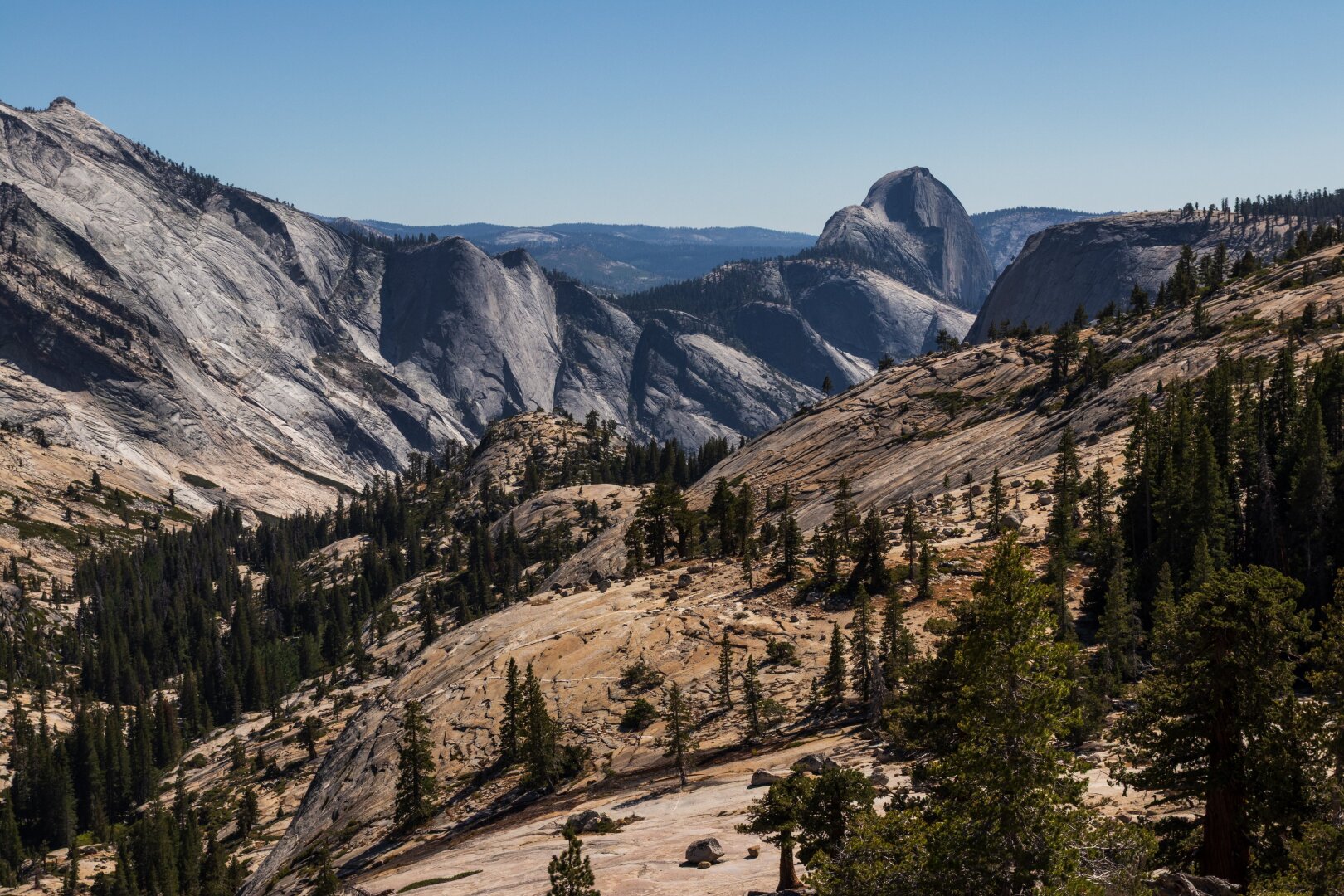 Español: vista panorámica de granito expuesto en Yosemite, con Half Dome visible al fondo, entre pinos dispersos y laderas de roca lisa bajo un cielo azul despejado.

English: panoramic view of exposed granite in Yosemite, with Half Dome visible in the distance, surrounded by scattered pines and smooth rock slopes under a clear blue sky.