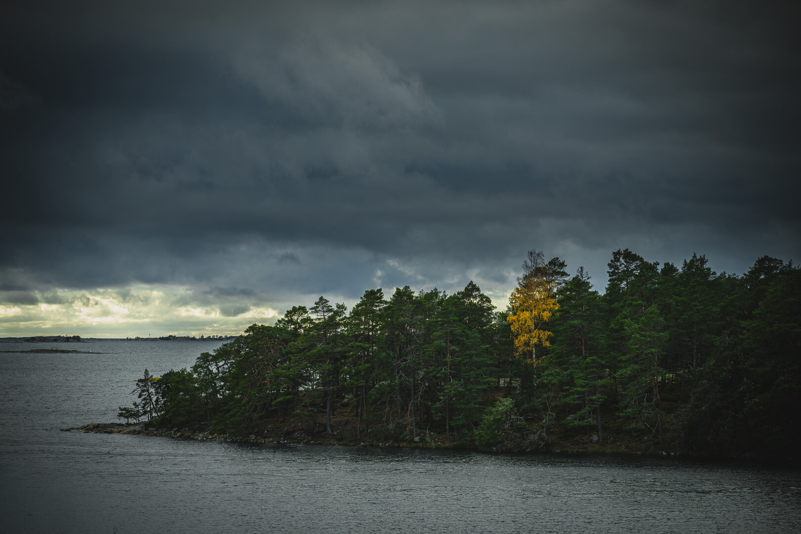 A photograph showing a view over a small archipelago in the Baltic sea. In the foreground is a hilly small peninsula sticking out from the right edge. The peninsula is covered mostly by green pine trees, but in the middle is a birch with its white trunk and bright yellow leaves at the height of autumn.
behind the peninsula are some smaller rocky islands and islets scattered around and the upper half of the photograph shows an overcast sky, lighter at the horizon where the cloud cover appear to be less dense, letting some sunlight through.