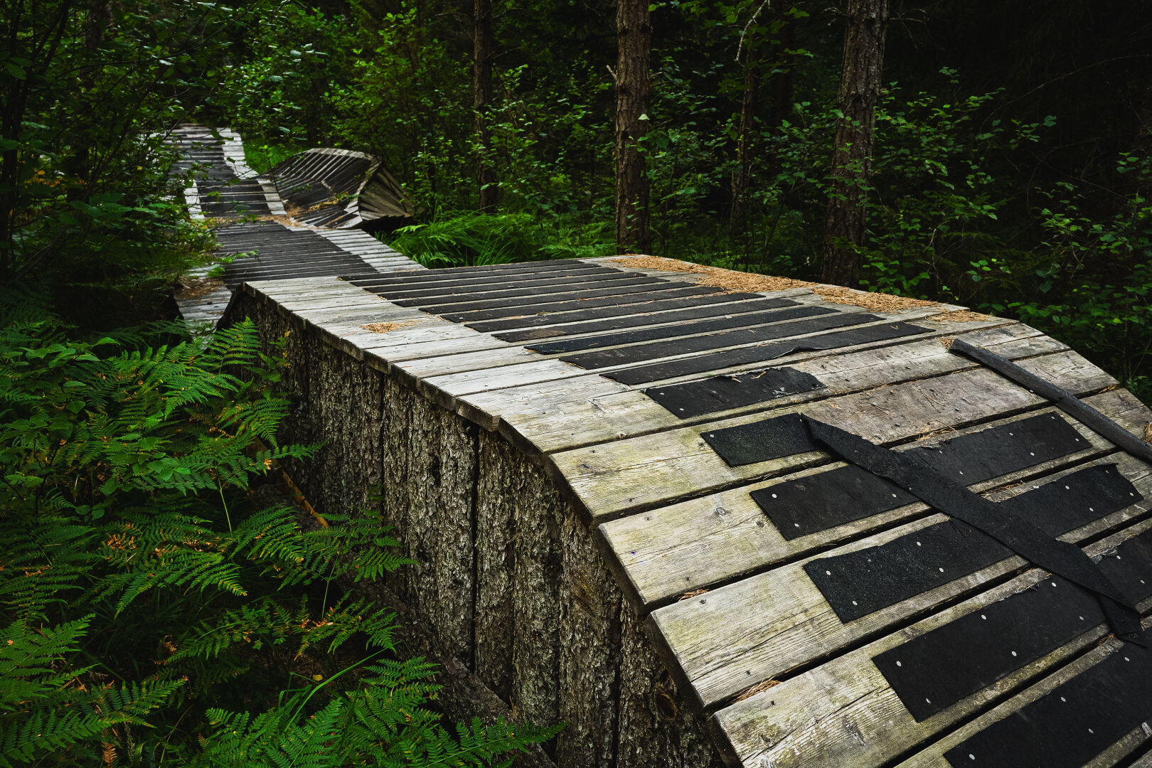 A photograph of a wooden mountain bike path in the middle of a forest. The roller coaster looking bike path is quite wide and the surface is made of wooden planks with anti-slip tape on them for better wheel grip. The sides are covered with rough pine wood planks that still have bark on them.

The path is surrounded by a lush dense forest, with large coniferous trees and small deciduous, and some ferns in the bottom left corner.