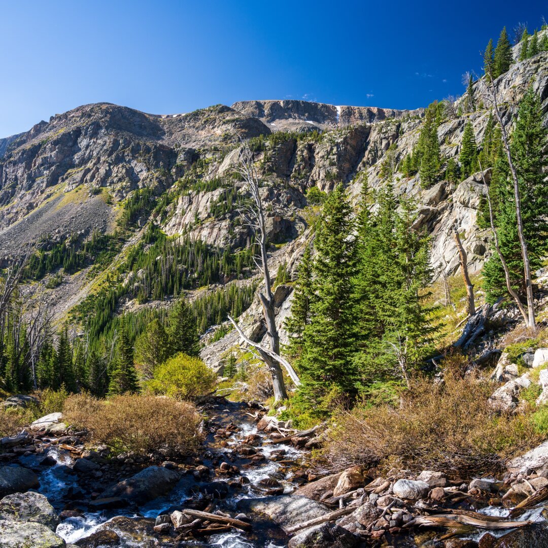 A river runs between trees, toward a mountainside. [Sony A7R V / Tamron 25-200]