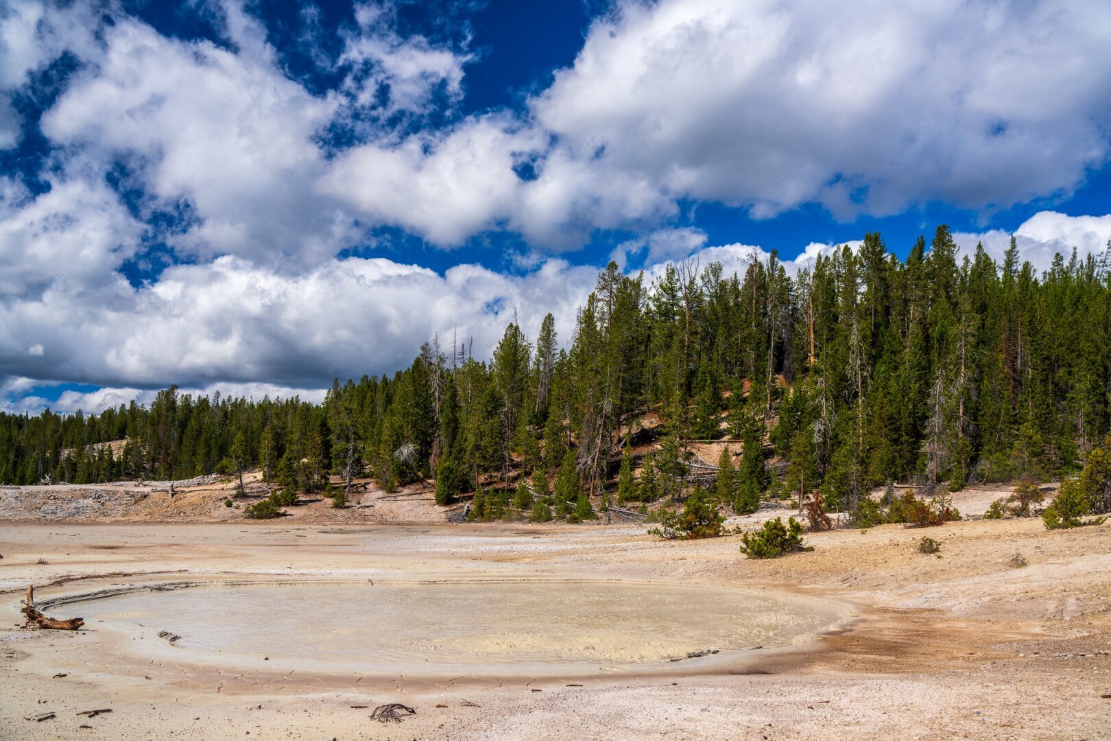 A mudpot bubbles before trees, under a cloudy sky. [Sony A7R V / Tamron 25-200]