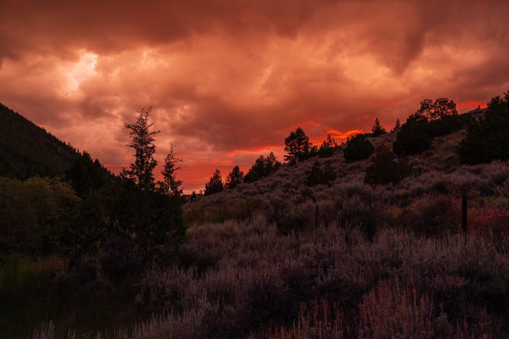 Orange skies over scrubby brushland. [Fuji X-T5 / Sigma 17-40 1.8]