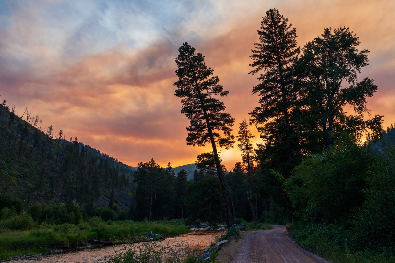 A road lies next to a running river, with trees in silhouette as the sun sets in a cloudy sky. [Fuji X-T5 / Sigma 17-40 1.8]