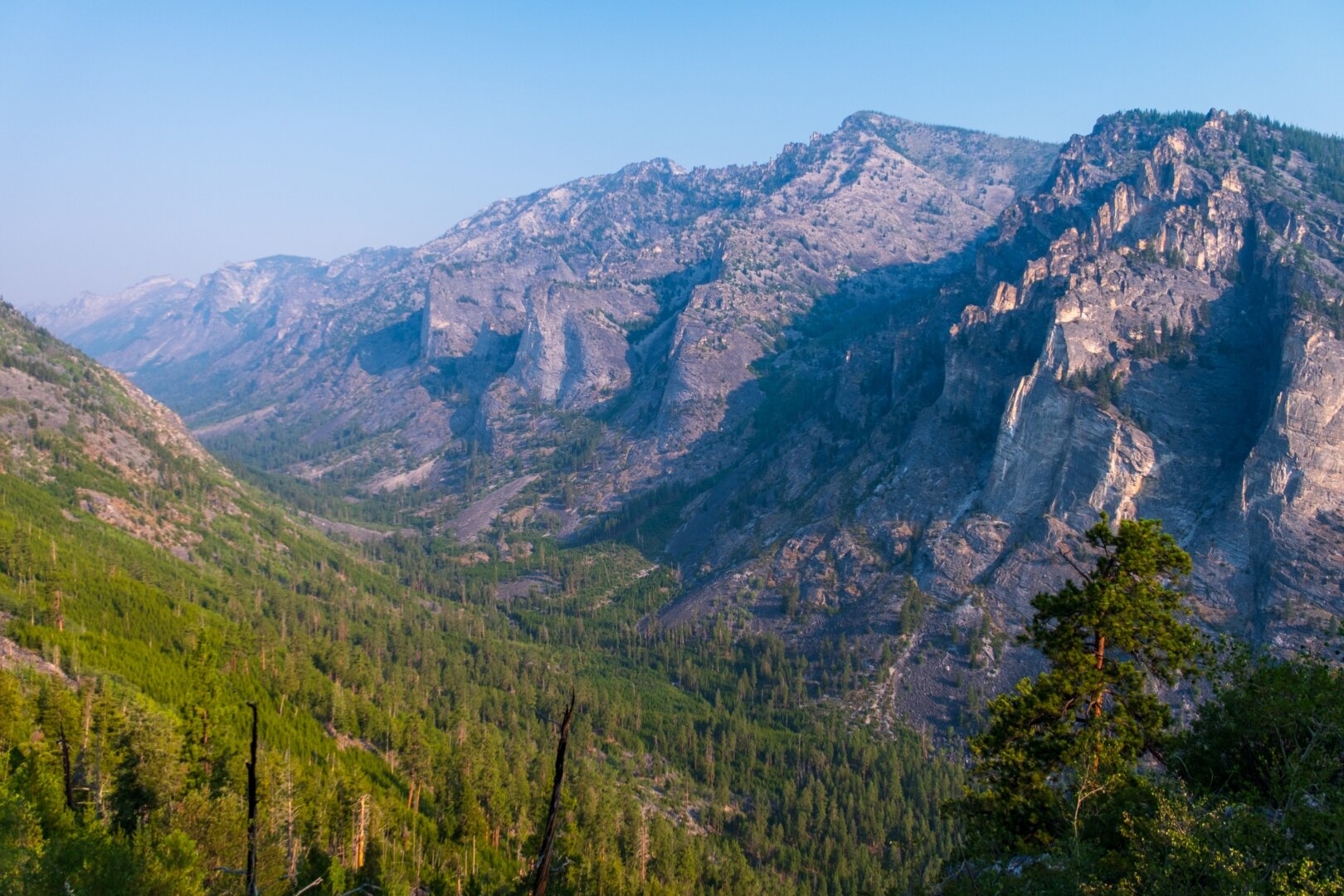 A view down into a slightly smoky large canyon, filled with trees. [Fuji X-T5 / Tamron 18-300]