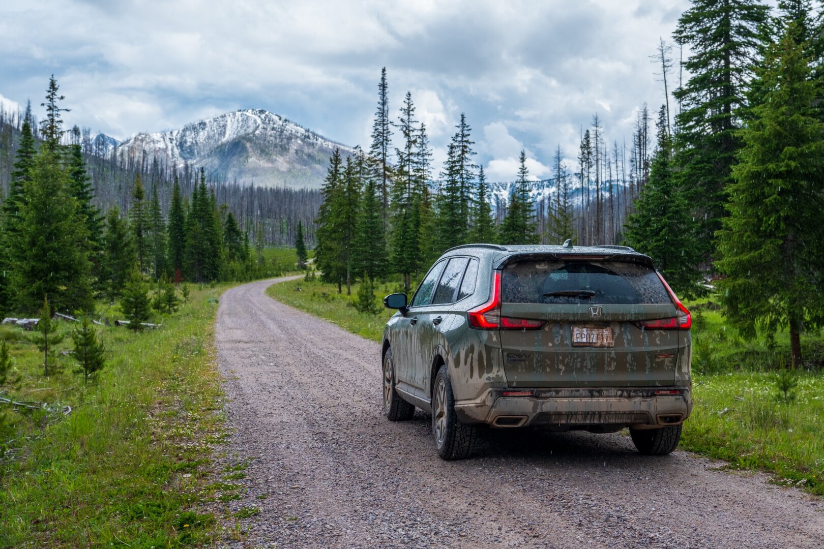 An incredibly dirty car on a dirt road heading toward a mountain, through forest. [Fuji X-T5 / Sigma 17-40 1.8]