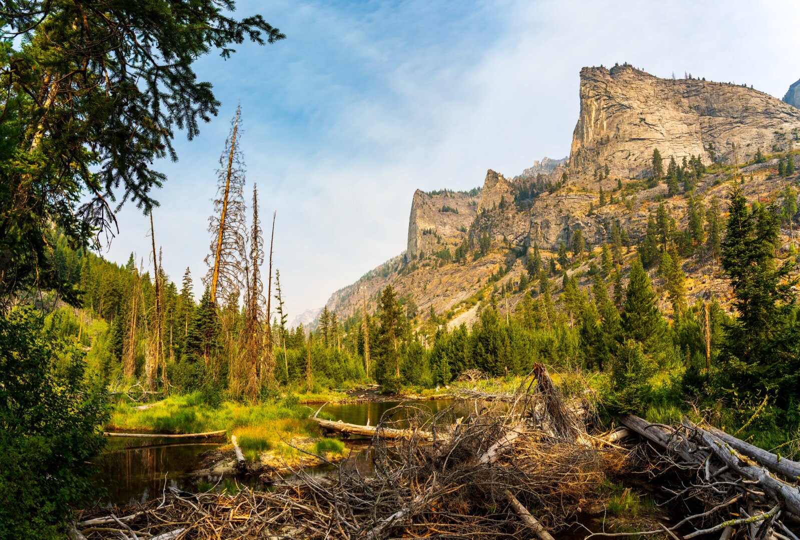 Beaver ponds and greenery in the foreground, with pointy mountains on the right of frame. [Sony A7R V / Tamron 25-200]