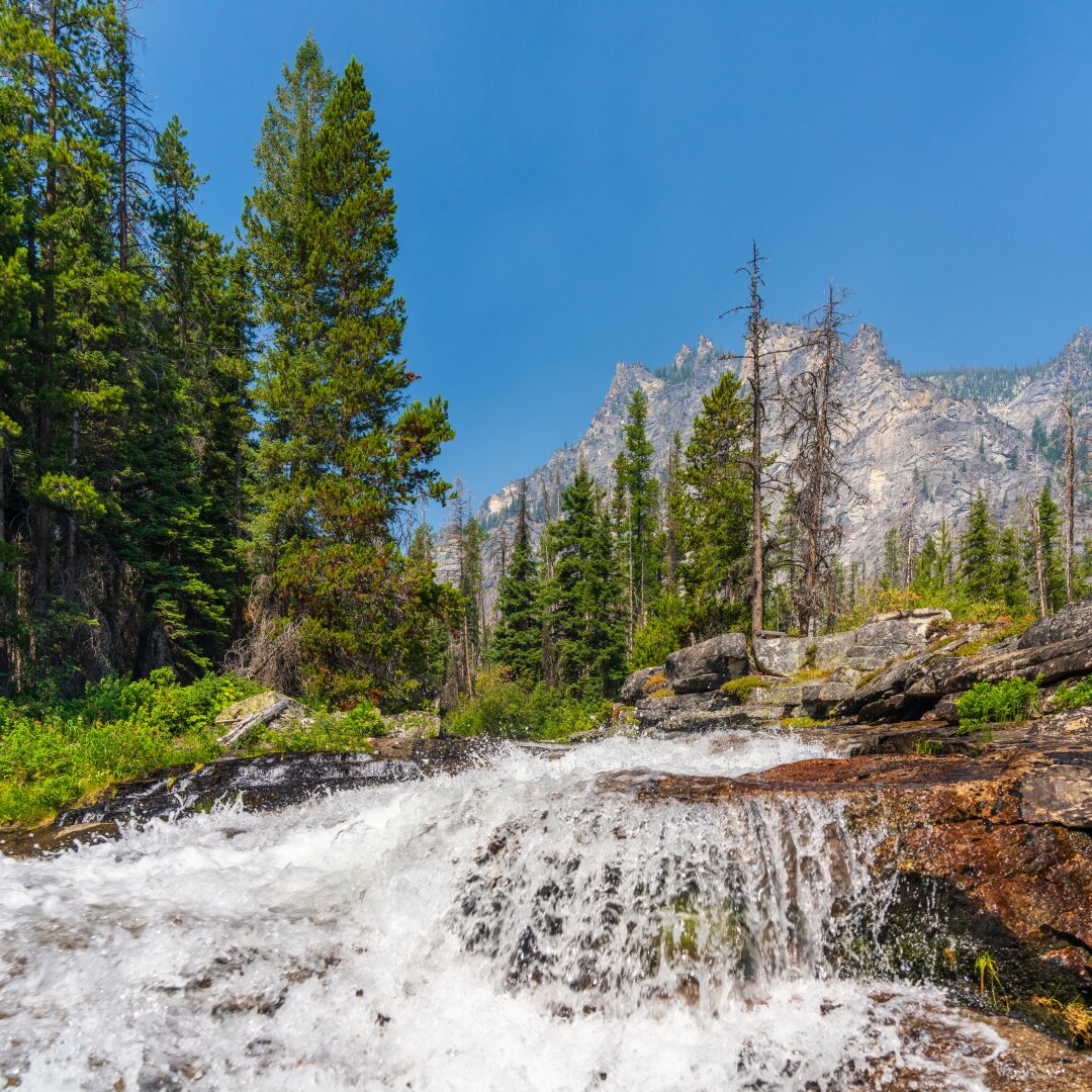 A low angle of a river running under blue skies, with trees to the left and mountains behind. [Sony A7R V / Tamron 25-200]