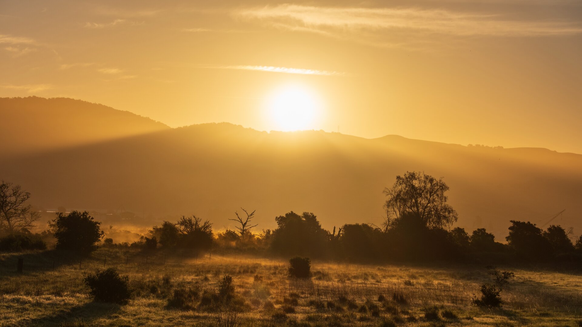 The sun rises behind the hills, over a field with trees in it. [Fuji X-T5 / Tamron 18-300]
