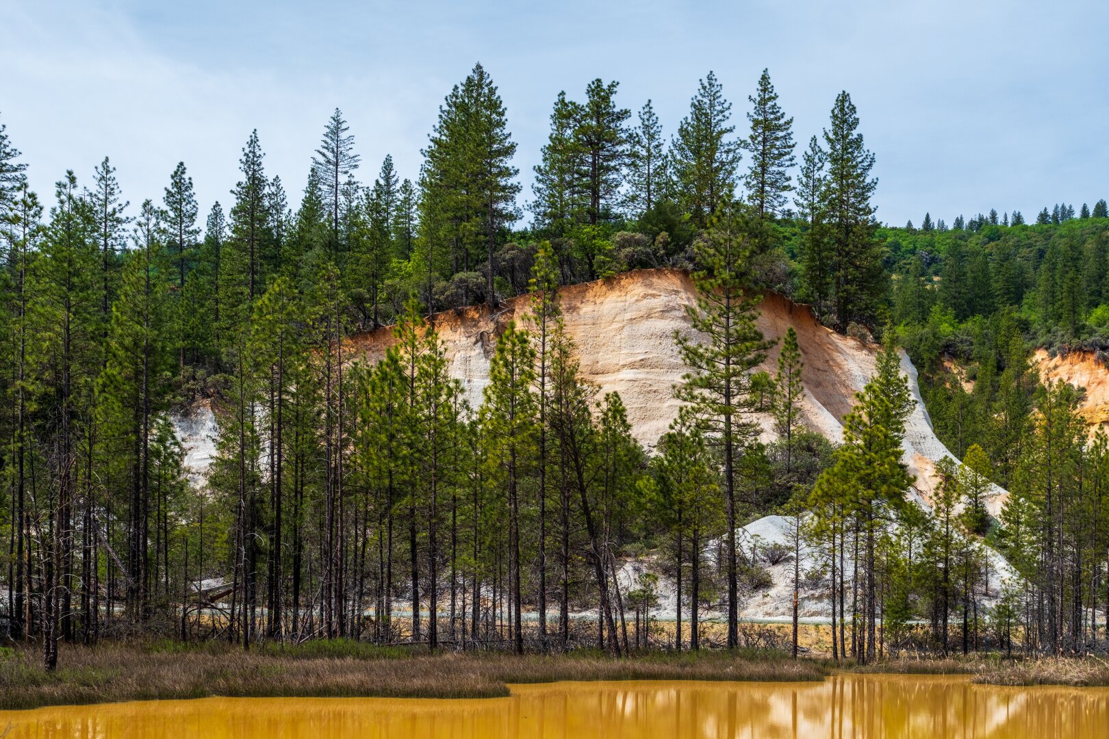A yellow-orange pond lies in front of trees and nude hillside. [Fuji X-T5 / Sigma 17-40 1.8]