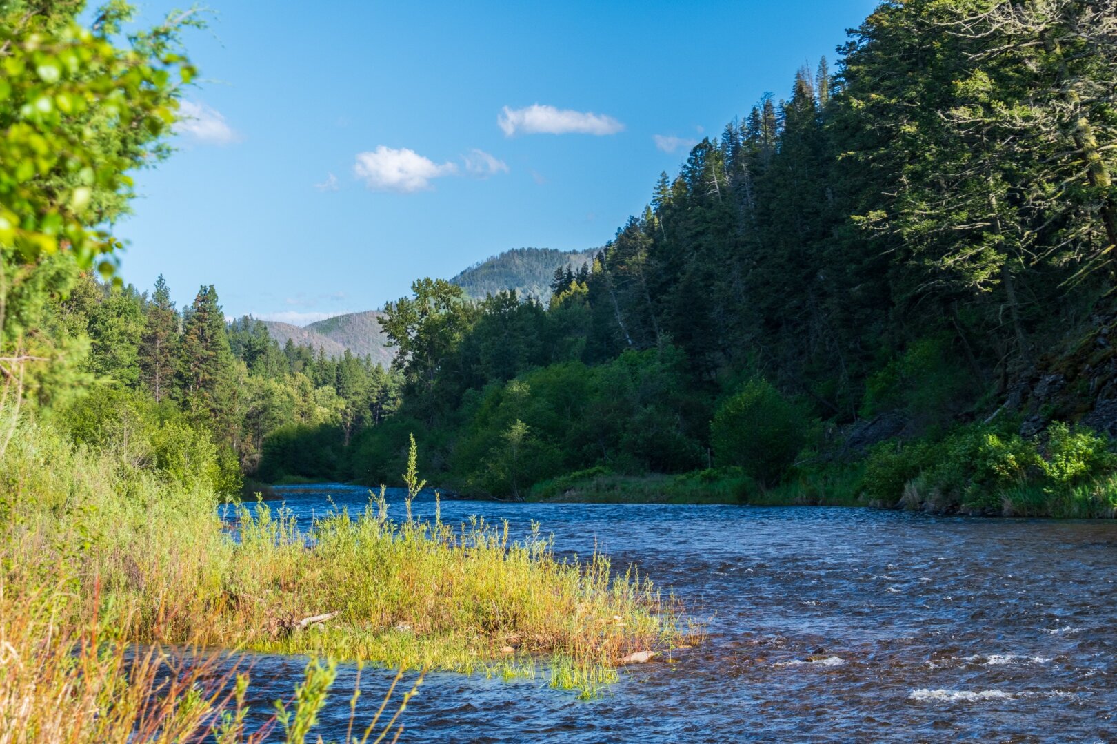 A river running between trees in the afternoon sun. [Fuji X-T5 / Tamron 18-300]