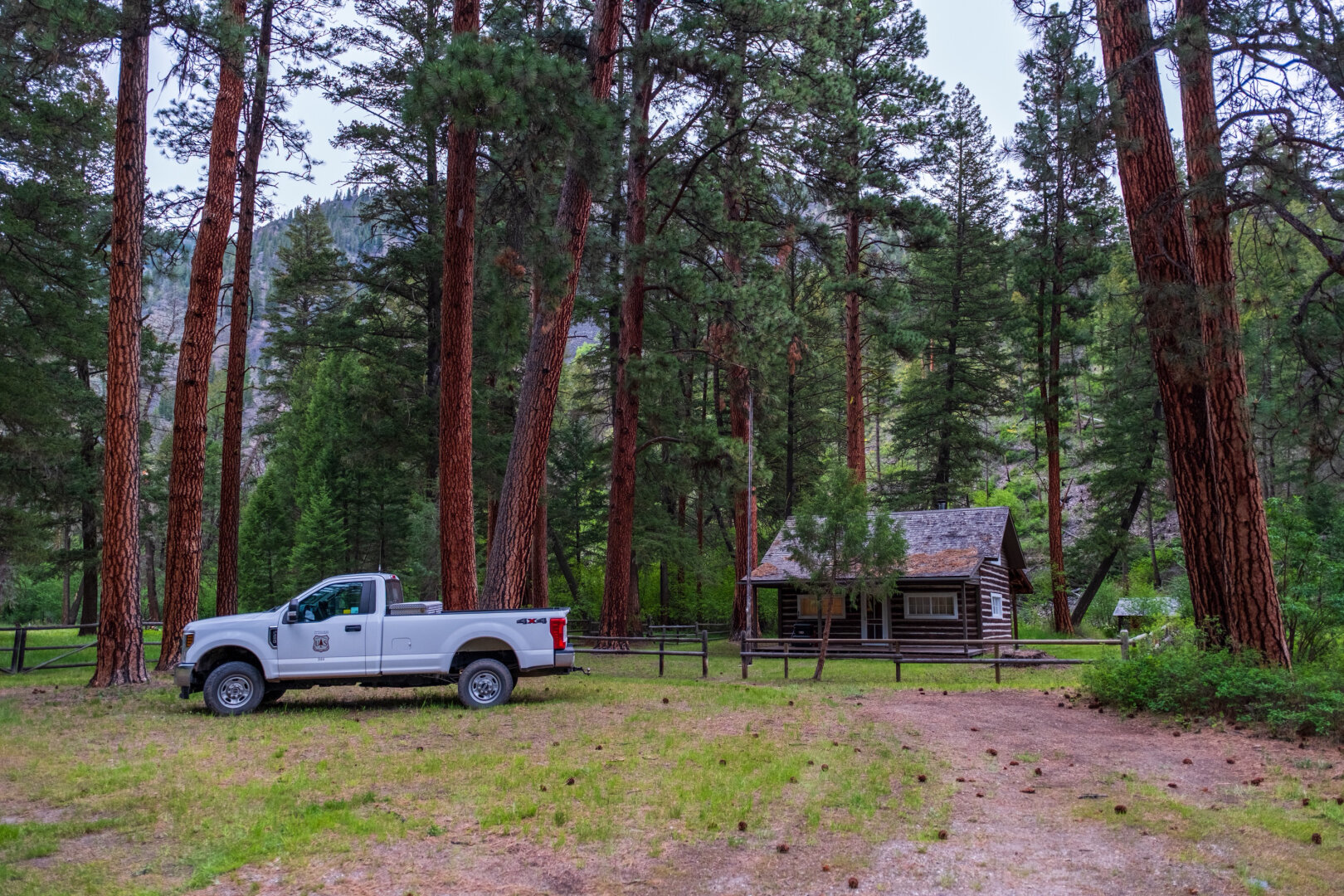 A truck and small cabin under trees. [Fuji X-T5 / Tamron 18-300]