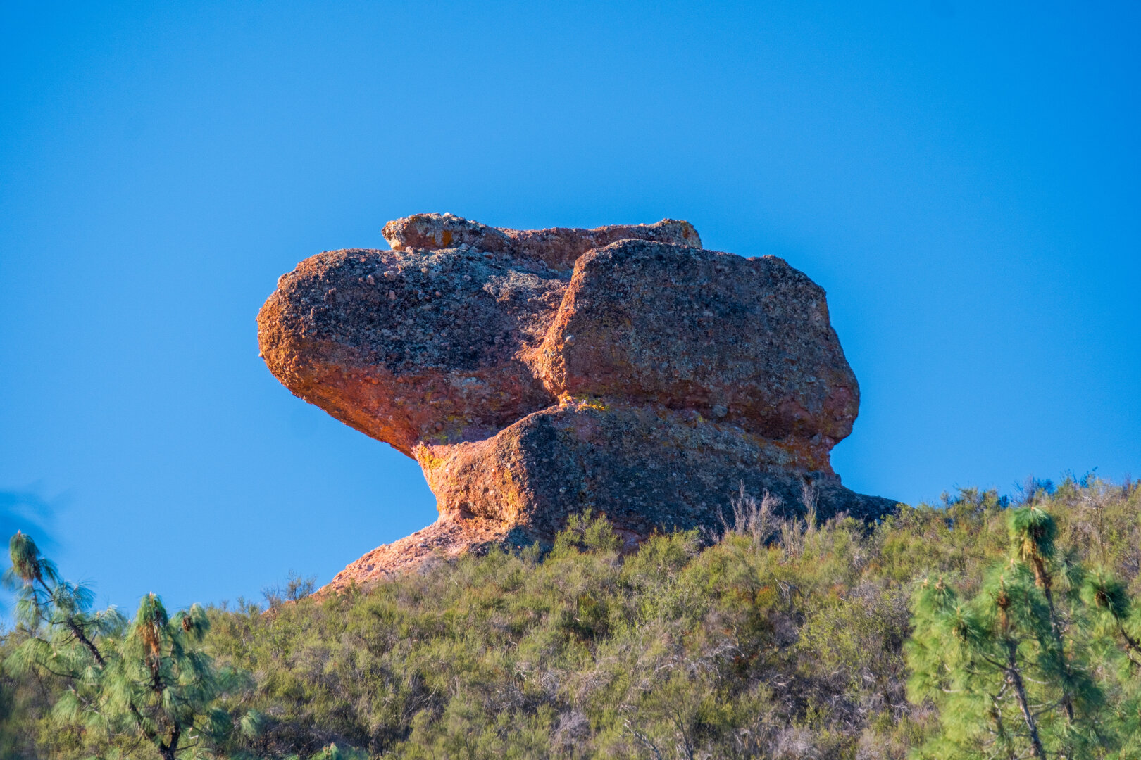 A large rock sits behind a treeline, illuminated by the sun. [Fuji X-T5 / Tamron 18-300]
