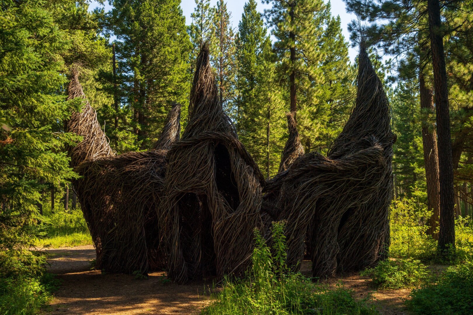 A structure crafted from woven plants. [Sony A7R V / Tamron 25-200]