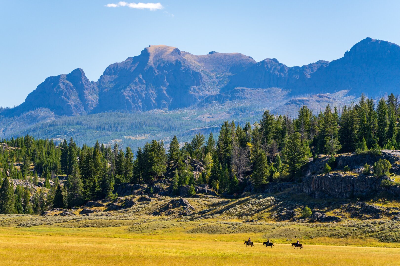 Three riders on horseback are in a meadow under trees and mountains. [Sony A7R V / Tamron 25-200]