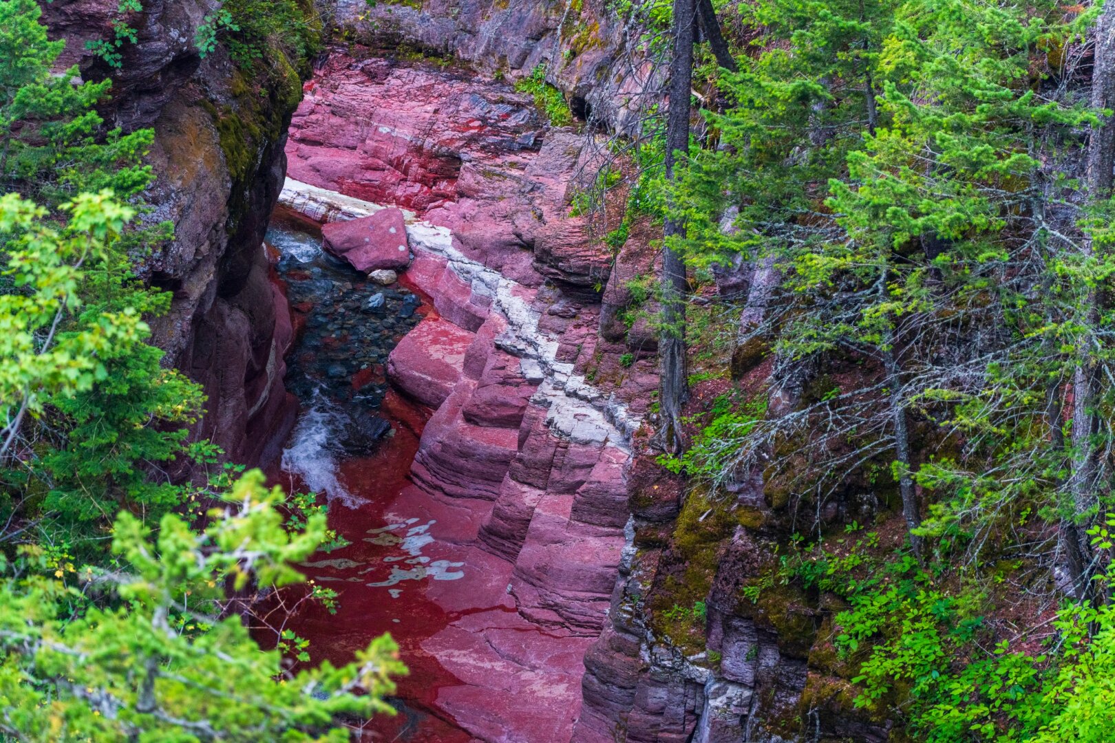 A red canyon winds through green trees. [Sony A7R V / Tamron 25-200]