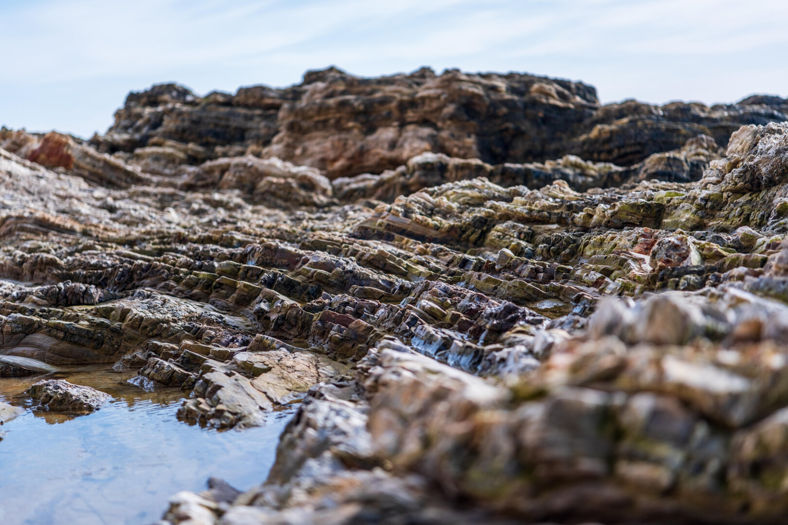 Layered rocks above a tide pool. [Fuji X-T5 / Sigma 17-40 1.8]