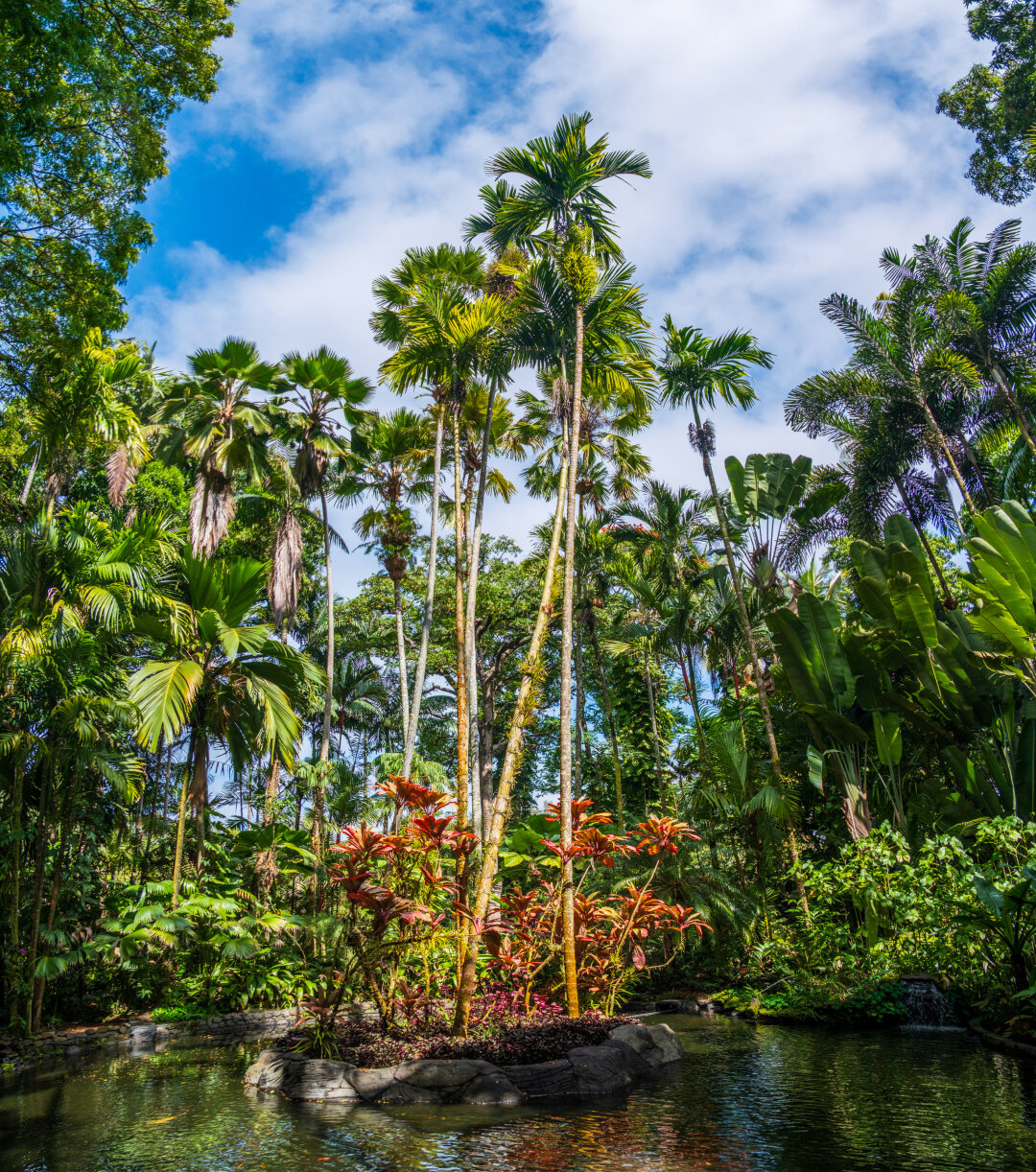 Before greenery and blue skies, a stand of trees and plants rises from a pond. [Fuji X-T5 / Tamron 18-300]