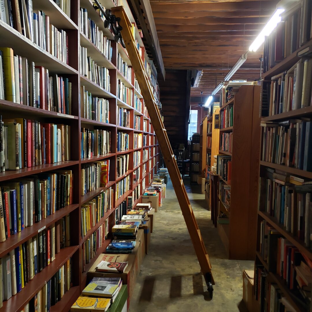 the ladder in the bookshop