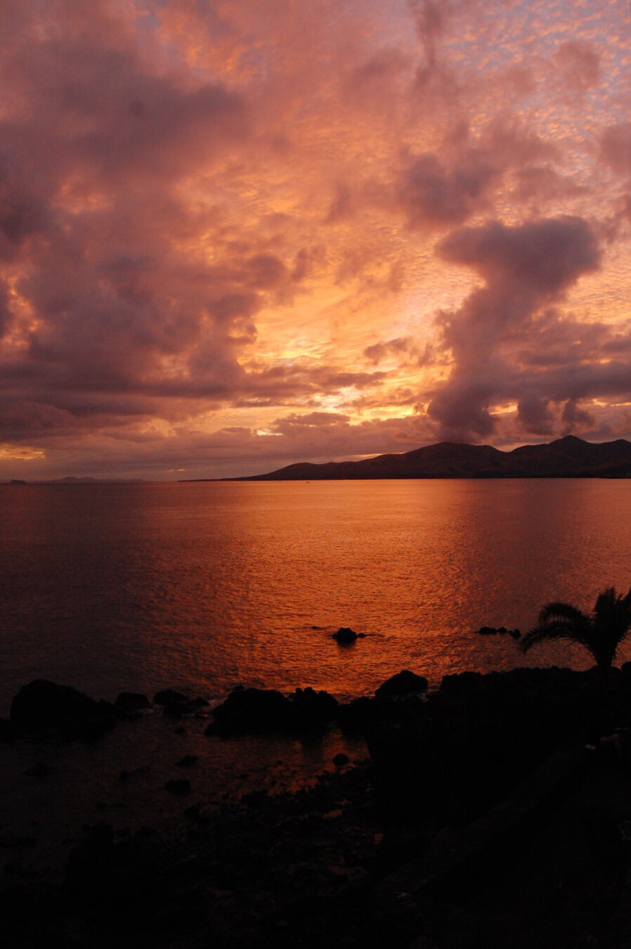 An impressive sunset scenery. The sky has some impressive but scattered clouds. The ocean separates two parts of the island and there’s a palm free on the bottom. The whole scenery is bathed in a strong dark orange tone. The ocean is very calm.