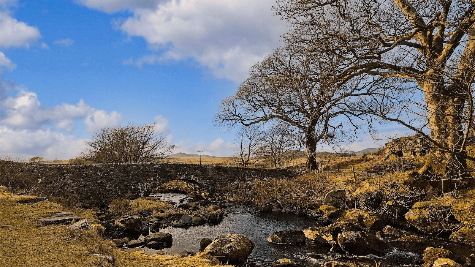 A scenic countryside landscape featuring a small stream flowing through rocky terrain under a partly cloudy blue sky. In the foreground, water winds between moss-covered boulders and stones, while bare winter trees with intricate branching patterns frame the right side of the image. The middle distance shows rolling hills covered in golden-brown moorland vegetation, with stone walls and fence posts creating field boundaries. Mountains or hills are visible on the horizon under dramatic white and grey clouds. The lighting suggests late afternoon or golden hour, casting warm tones across the rustic rural scenery typical of British or Irish countryside.