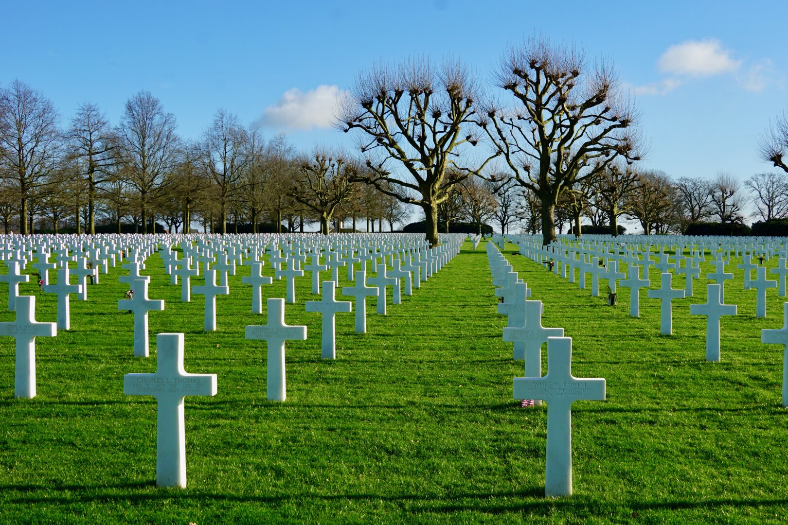 Rows with hundreds of carefully arranged white crosses on green grass in a sunny winter landscape, with two tall trees at the background.