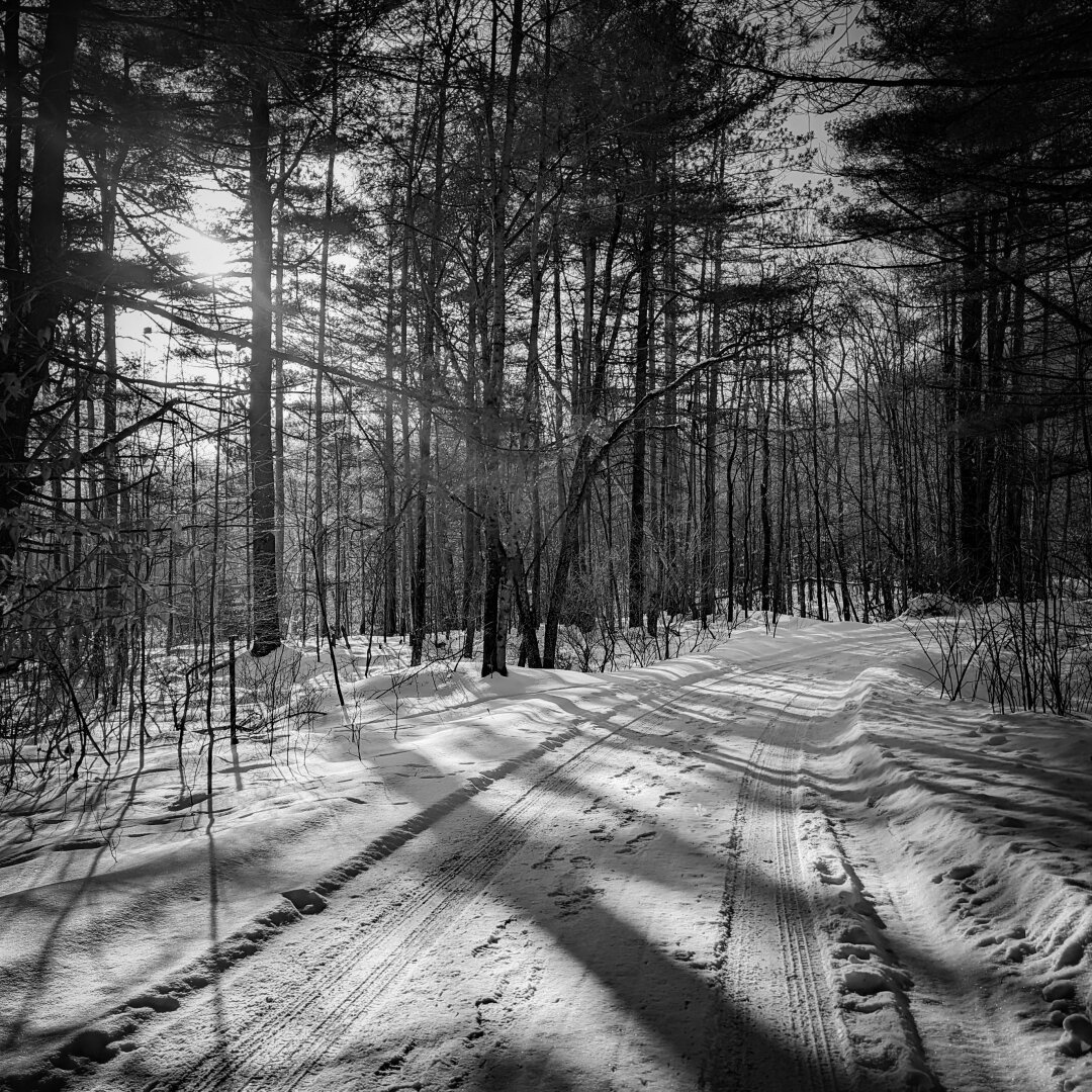 Black and white image of a snow covered road with tire tracks and footprints in the forest.