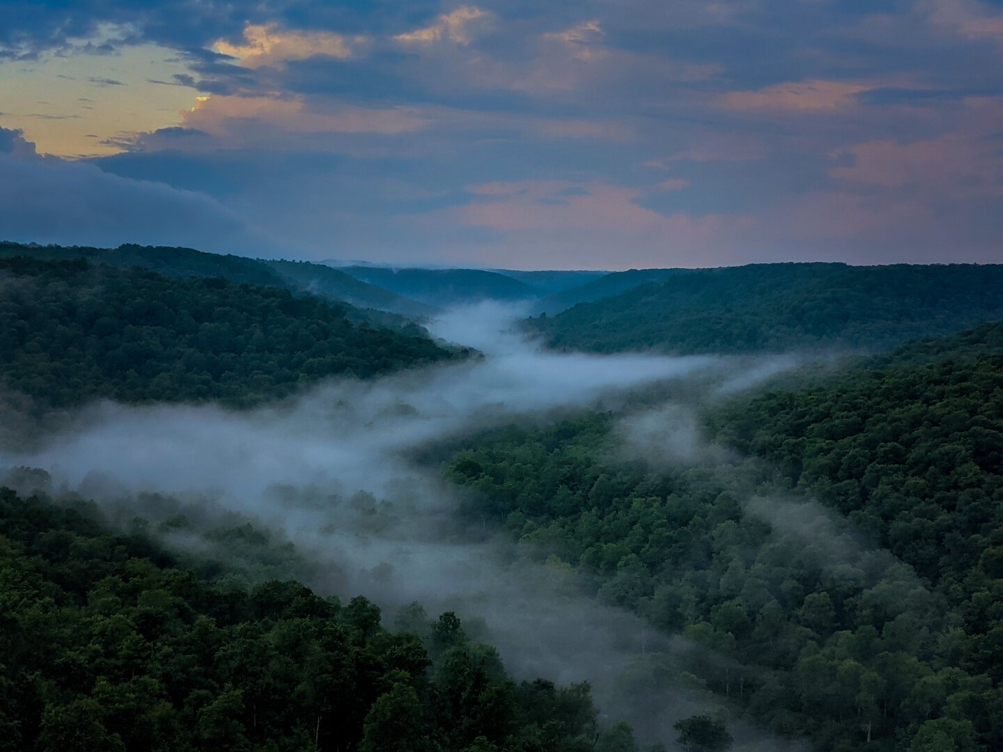 Landscape, rolling hills with mist that's snaking through a valley leading into a bruised sky.