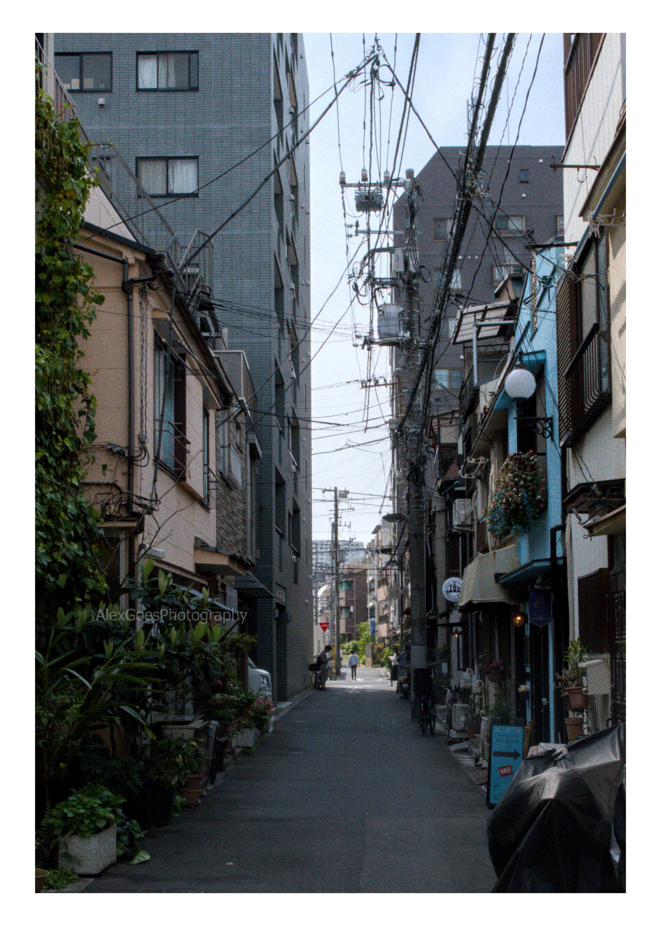 A narrow street of Tokyo. In the foreground there are 2 stories buildings, in shade of beige and light blue, but further down the street, before it opens on a perpendicular street, taller 5 or more stories building in dark grey towers. In the foreground left, a touch of green with climbing plants. Electric cables criss cross the sky.