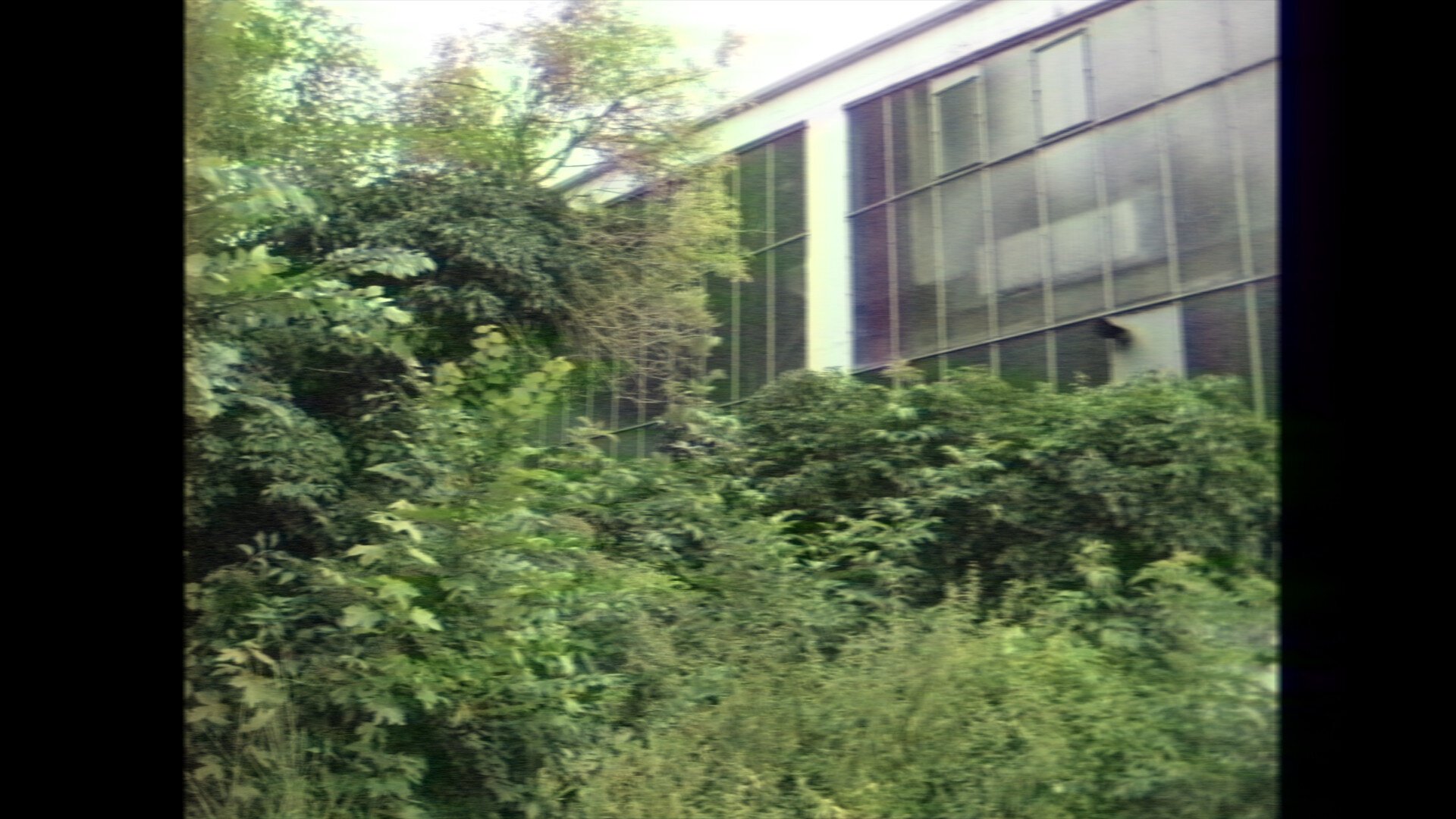 Photo of some storage building with green trees and bushes in front. (heavy VHS filter)