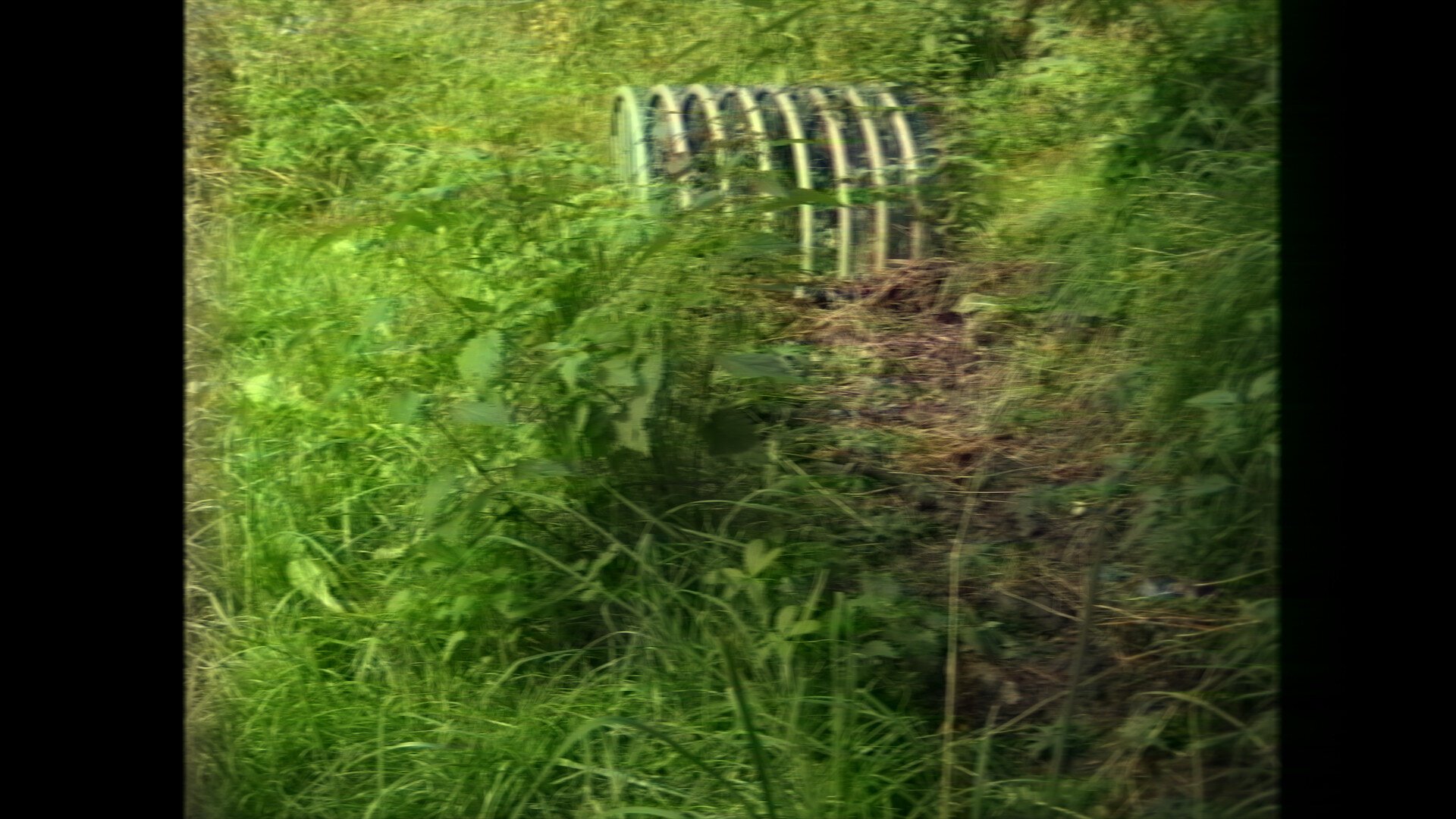 Photo of some grate in a lush meadow (heavy VHS filter)