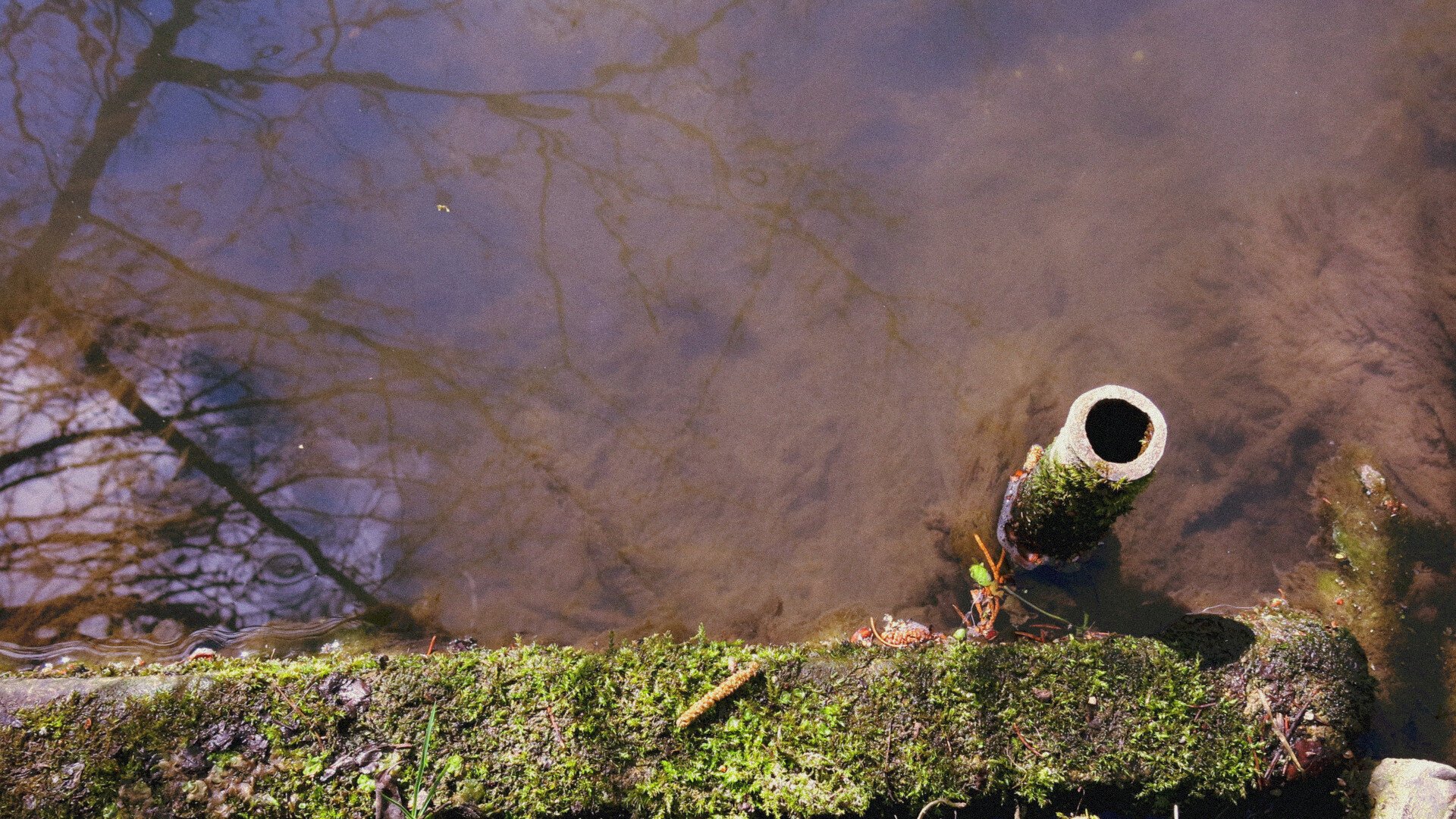 Topdown photo of the shore of a small river. A pipe is sticking out of the ground.