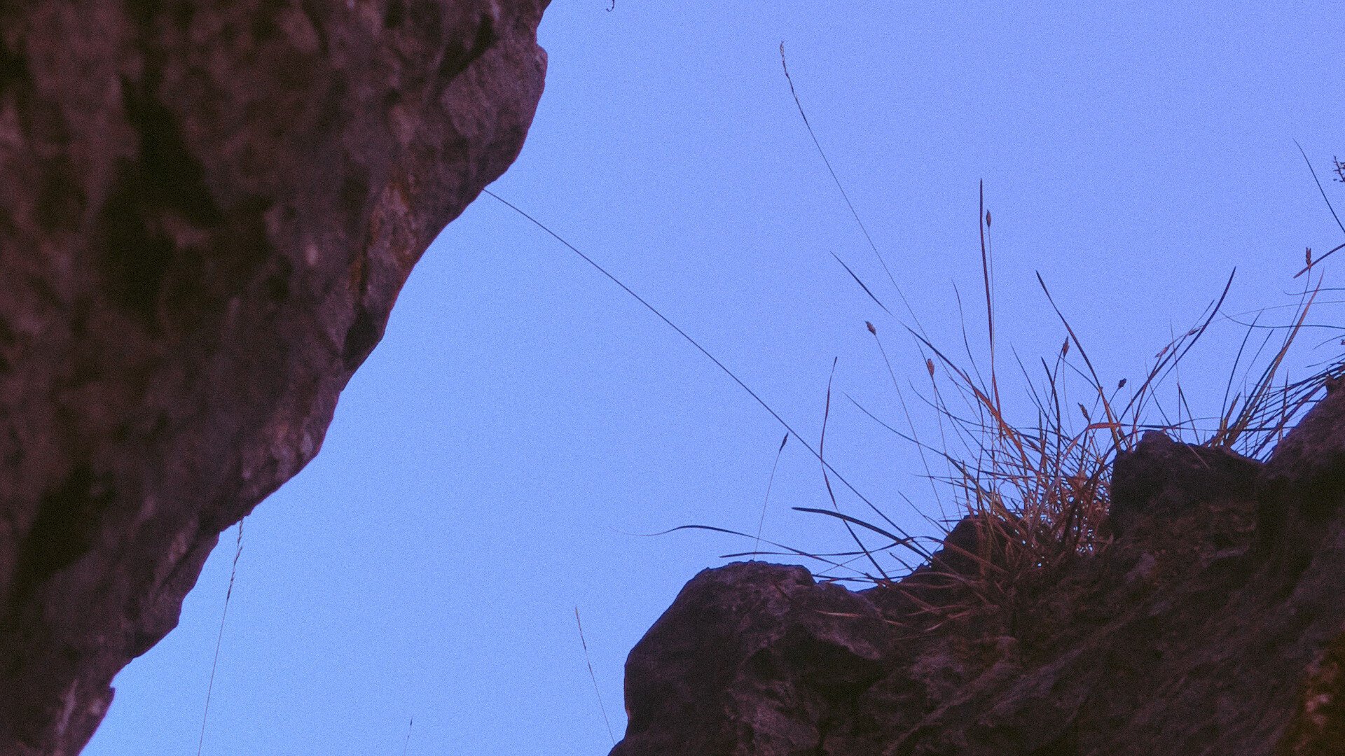 Silhouette of some rocks with bush growing on it against blue sky