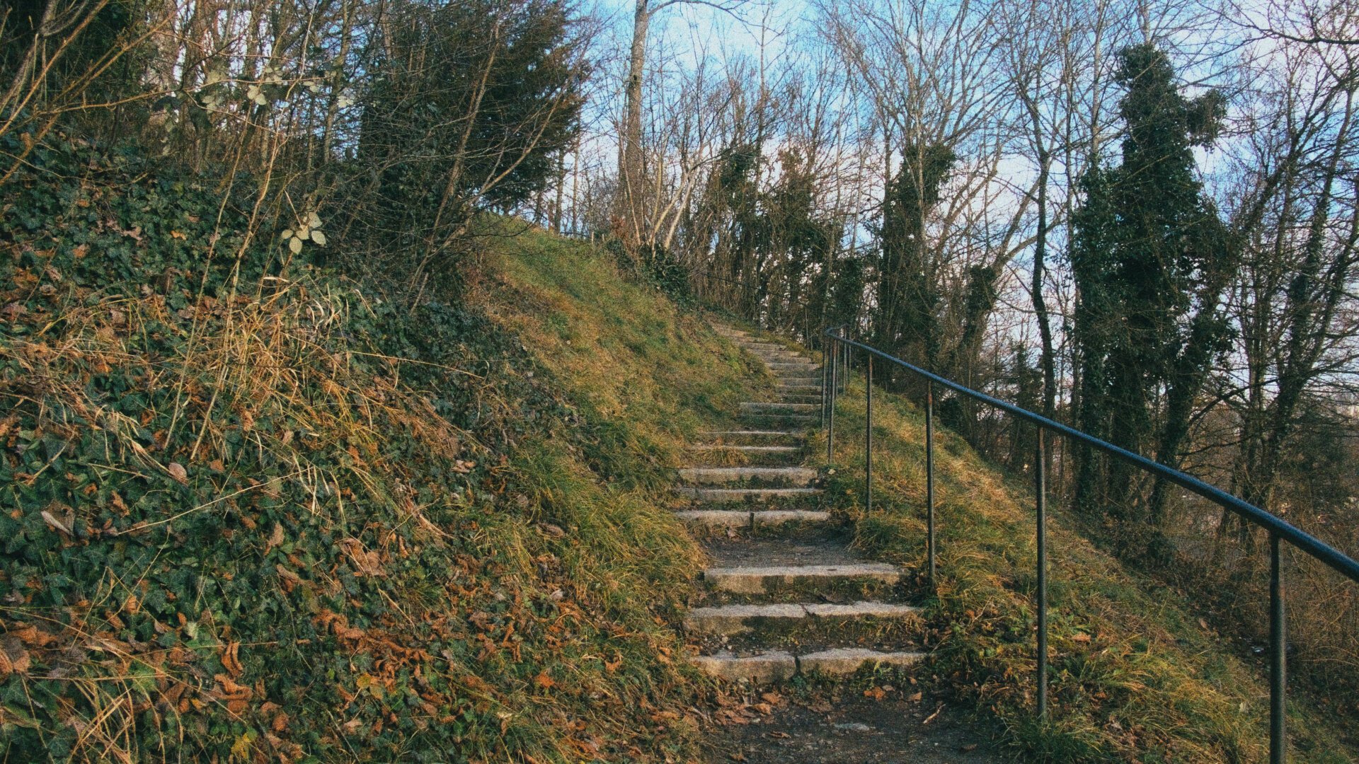 Photo of some stone steps going up a hill.