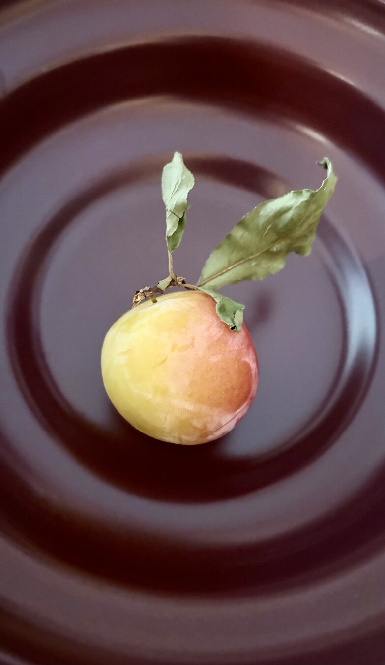 Yellow plum with a bright blush of peach  on one side and a few dry tree leaves sits on a deep red-brown plate with circular shadows.