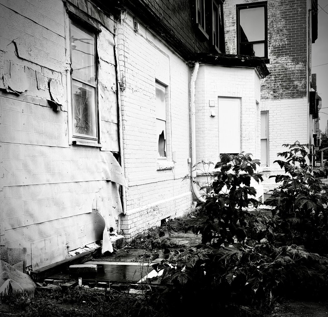 Residential home with broken windows and peeling siding. An overgrown garden is in the foreground. Photo is in black and white.