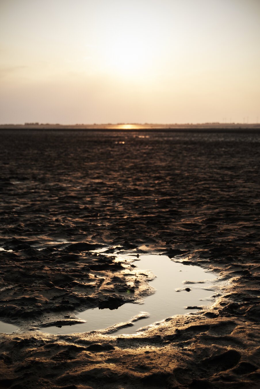 A crescent shaped puddle of water in a flat land, lit in warm light by the setting sun. On the horizon there is a glint of a larger portion covered by water, and the shapes of buildings, trees and wind generators can be recognised.