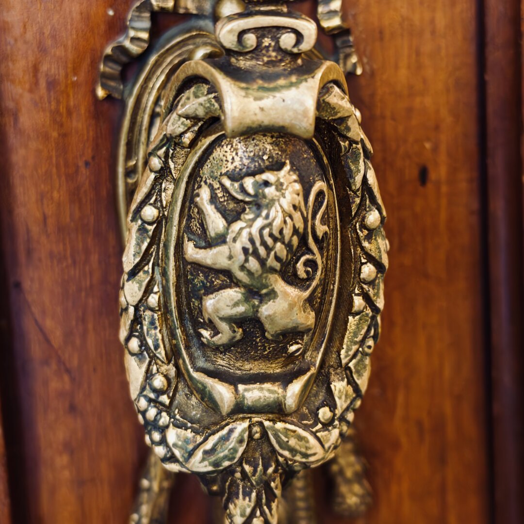 A close-up photo shows an old, decorative brass door handle mounted on a wooden door. The handle is oval-shaped and features a raised image of a lion standing on its back legs with one paw raised, facing to the left. The lion has a curly mane and a long tail that curls upward. Around the lion is a border with carved leaves, berries, and patterns that make it look fancy and royal. The brass has a worn, aged look with dark areas that give it a vintage feel. The background is a polished wooden surface with a warm brown color and visible wood grain. The handle looks strong and heavy, suggesting it is used on a large, old-style door.