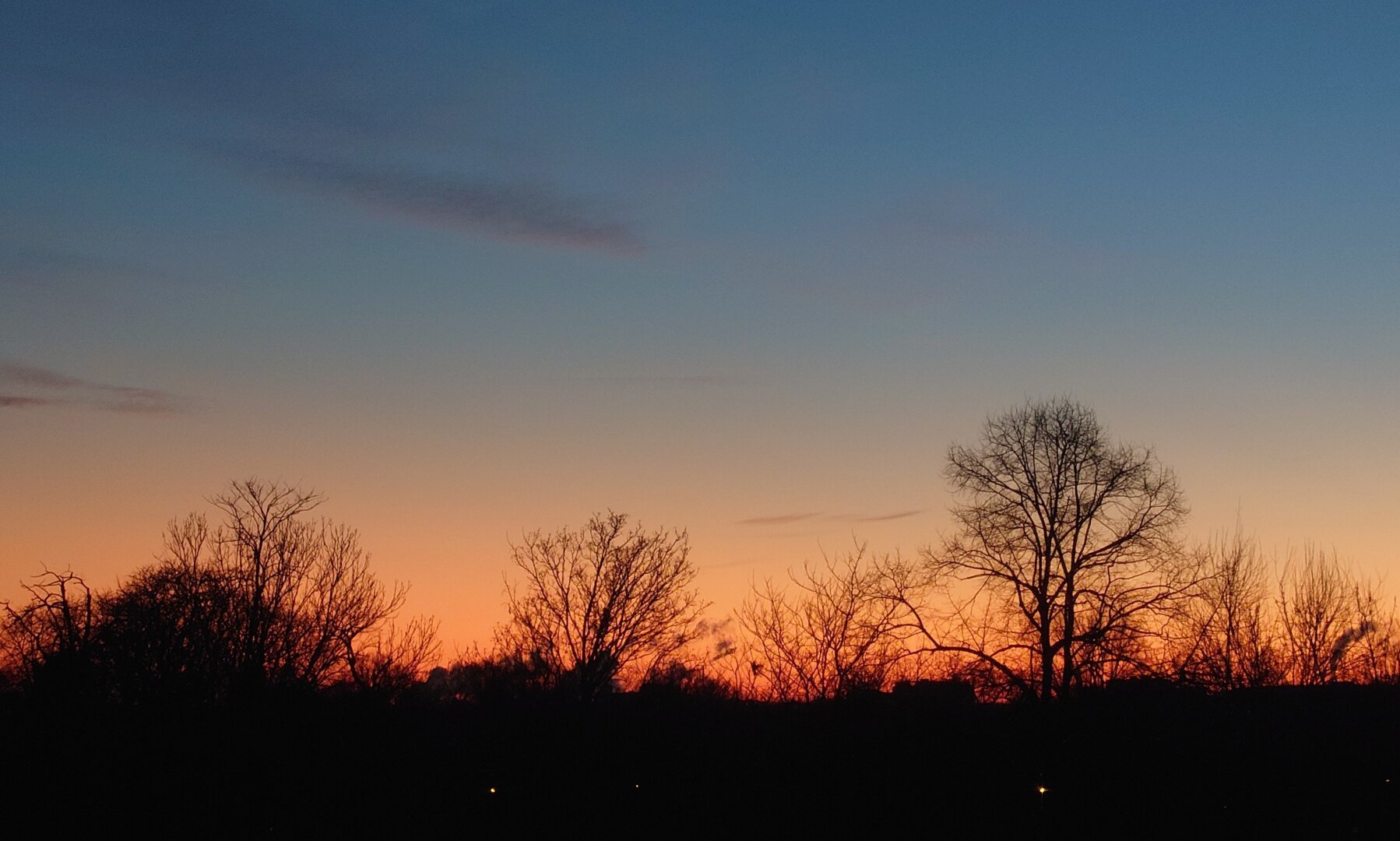 Colorful sunset over treeline. Gradient from dark orange to blue.