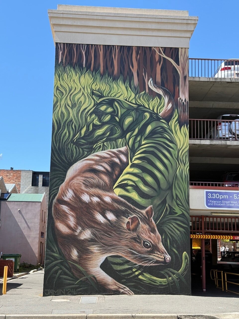 A mural painted on the side of a car park. The mural is of a Tasmanian Devil slinking through dark green vegetation. The shape of an extinct Tasmanian Tiger is cleverly defined using the light and dark greens of the foliage.