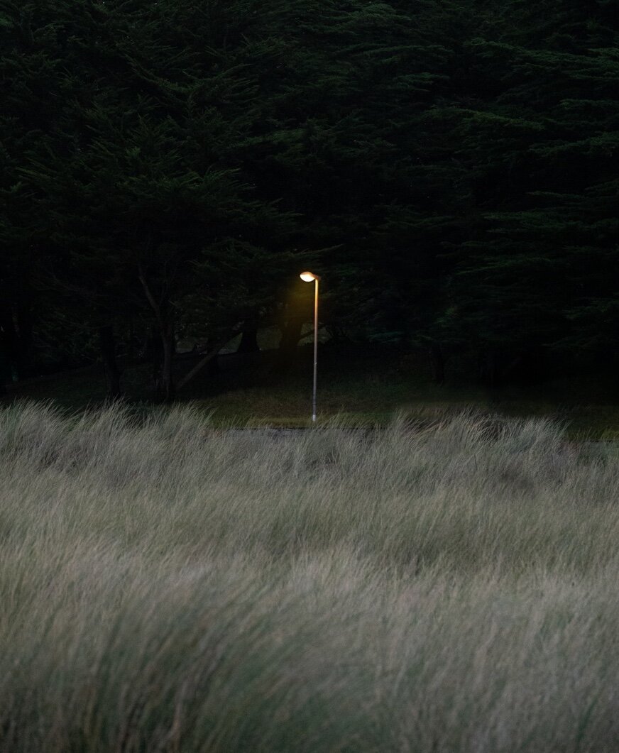 Lampadaire allumé, isolé dans une clairière