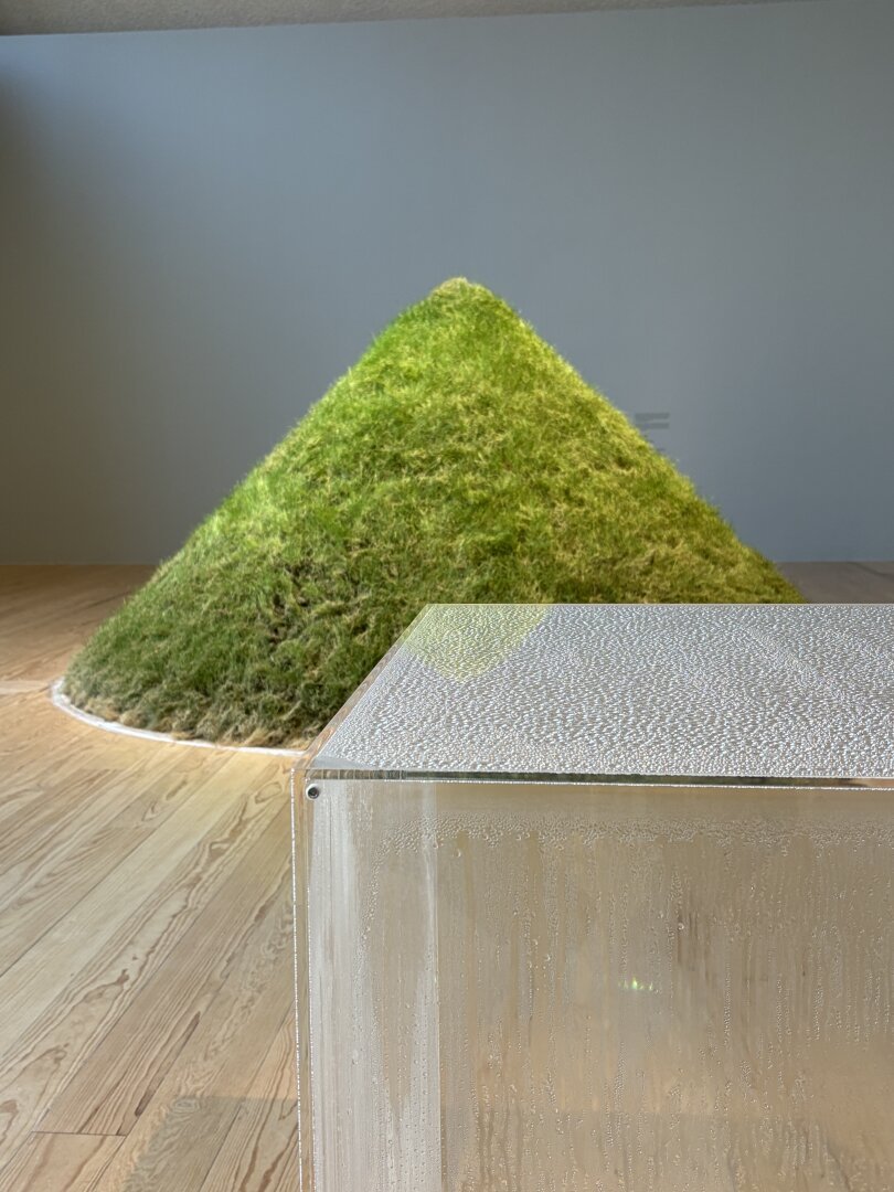 Tobias Maier (@weitergen@pixelfed.social)